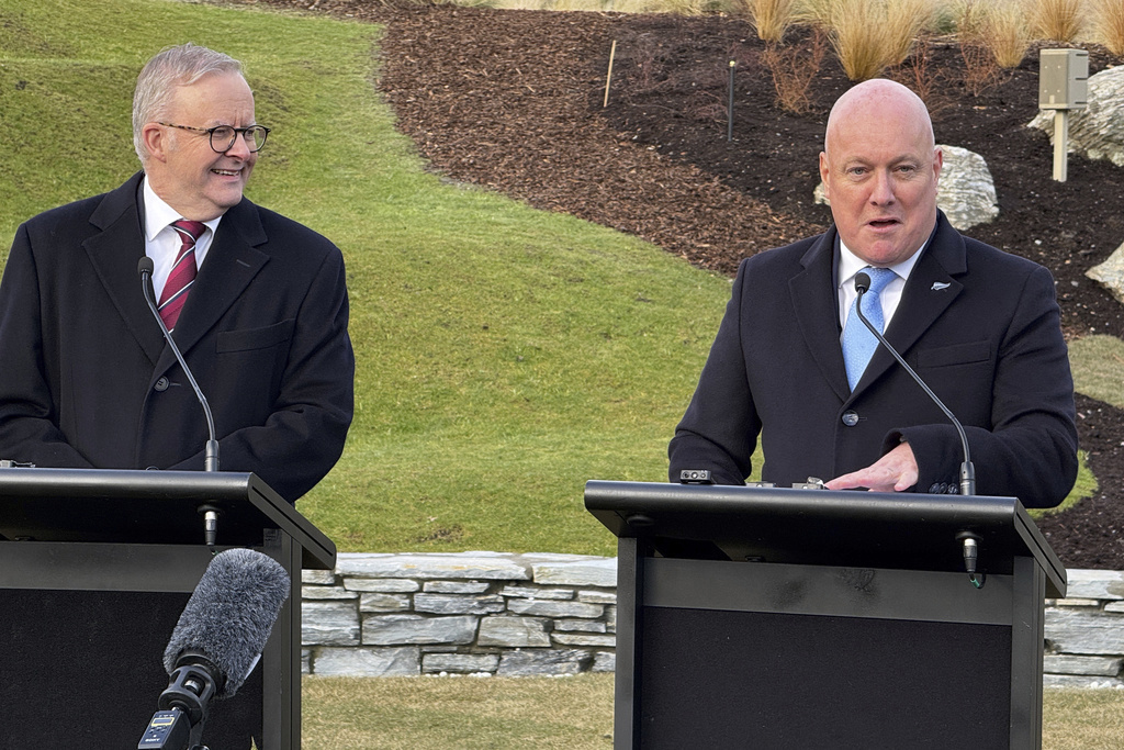 Anthony Albanese, Christopher Luxon