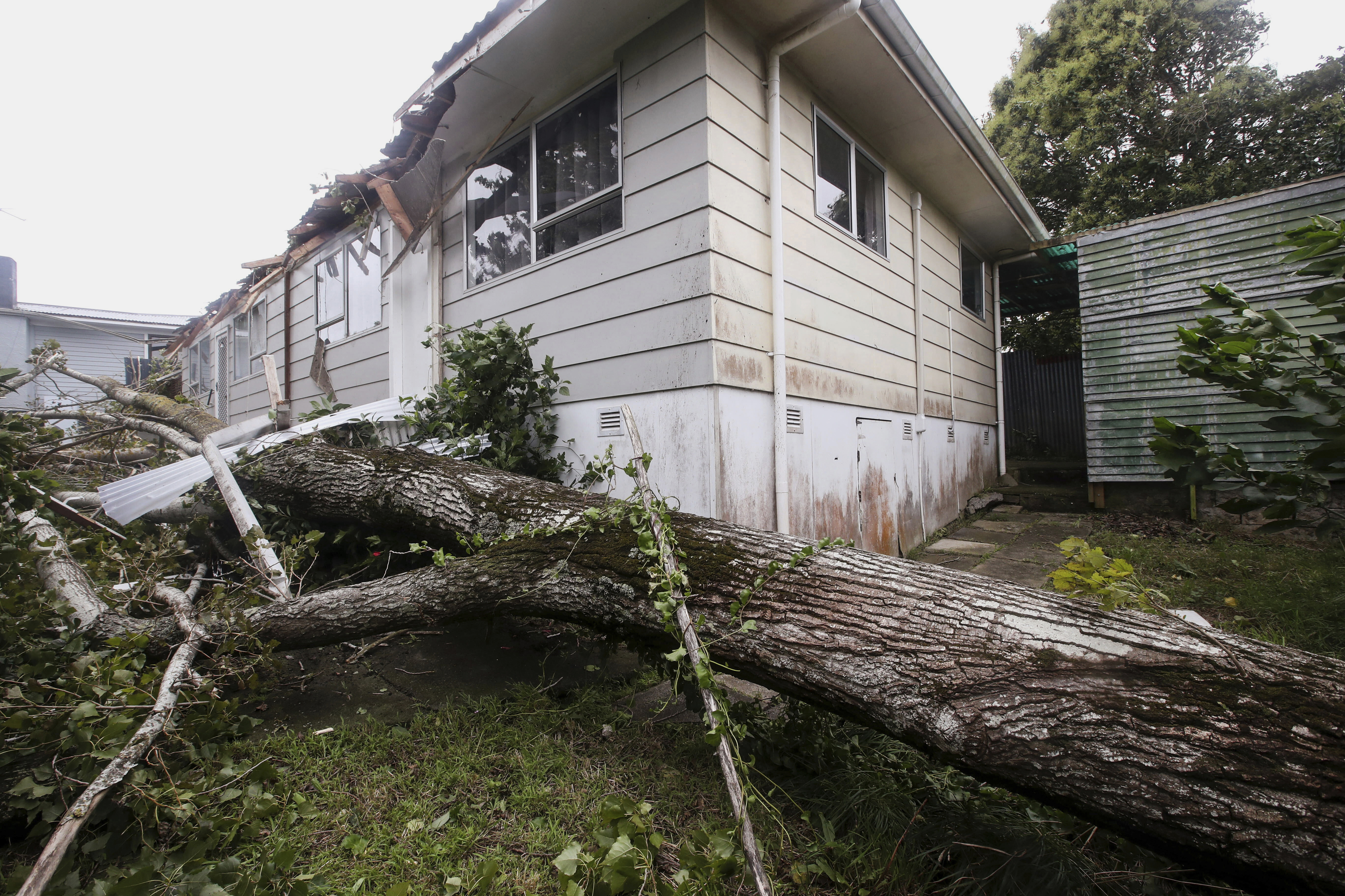 A tree lays on the ground after falling and hitting a house in Auckland, New Zealand, Tuesday, Feb. 14, 2023. The New Zealand government declared a state of emergency across the country's North Island, which has been battered by Cyclone Gabrielle. (Jason Oxenham/New Zealand Herald via AP)