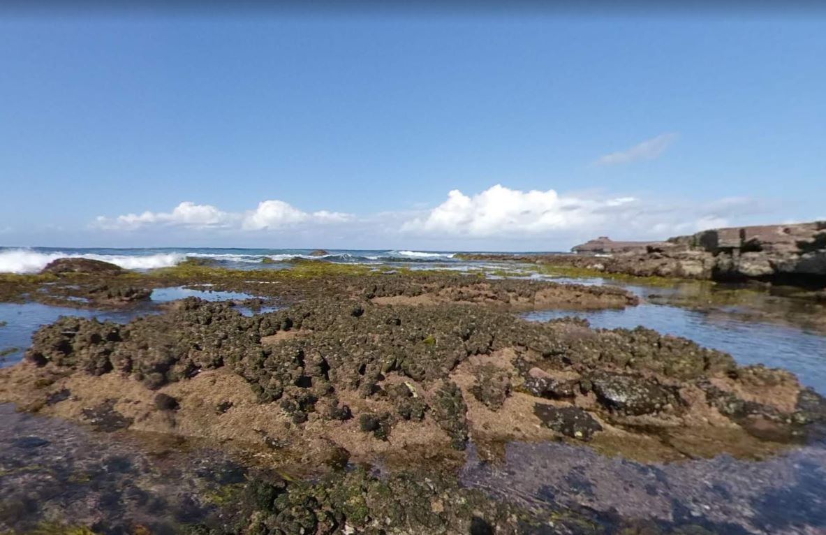 A man has died after a rock fishing accident near Wollongong, south of Sydney.