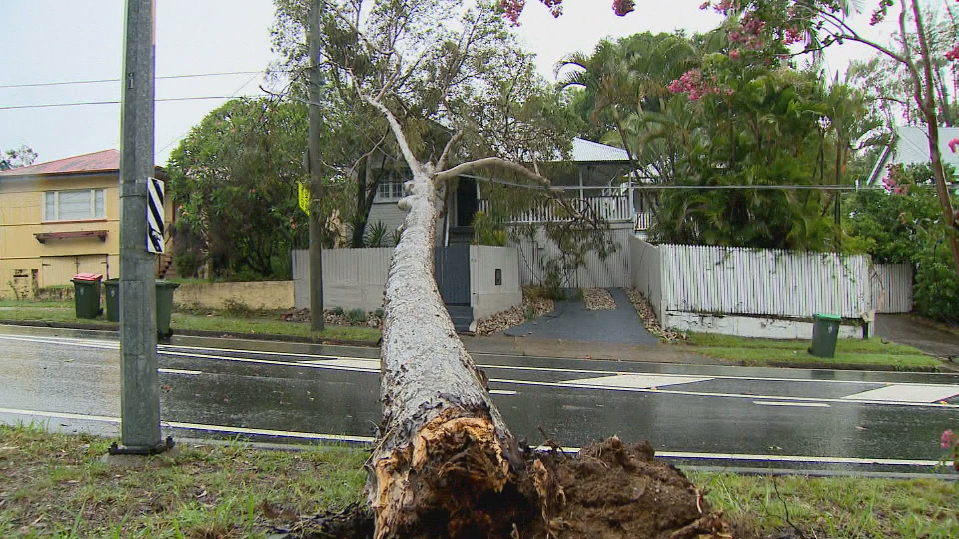 Wild storms have hit multiple states, with thousands told they might not get power back in time for Christmas.