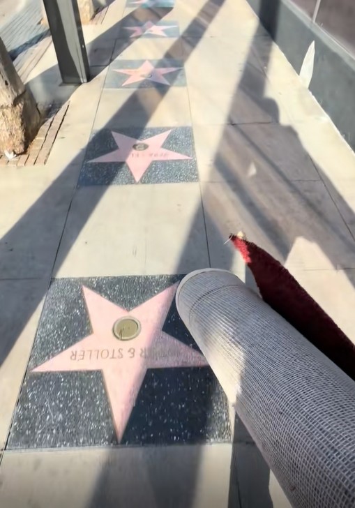 Paiga Thalia claims she found the 2026 Oscars red carpet in a dumpster near the Dolby Theatre