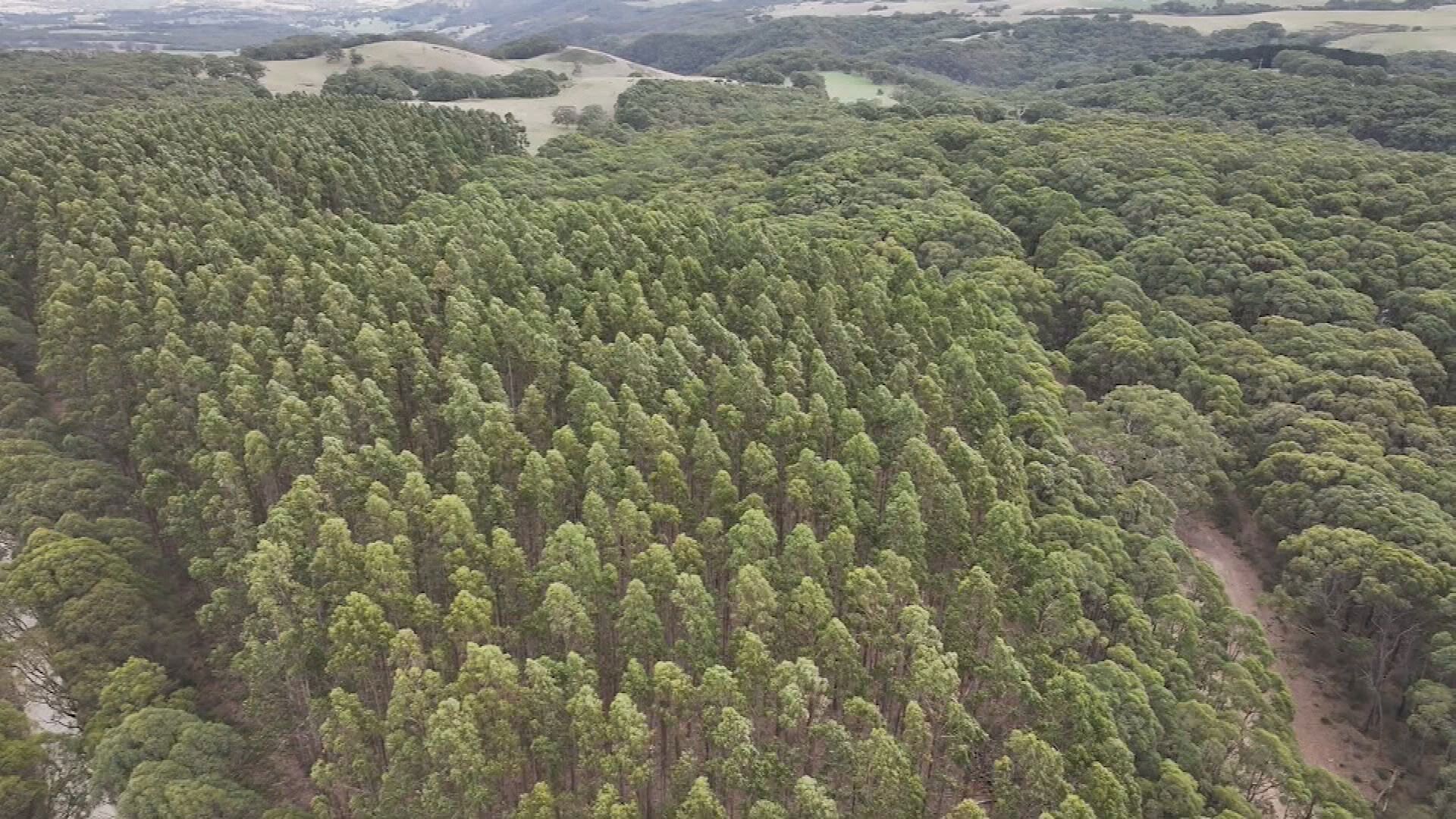 The body was found in Spring Mount Conservation Park at about 5.30pm yesterday.