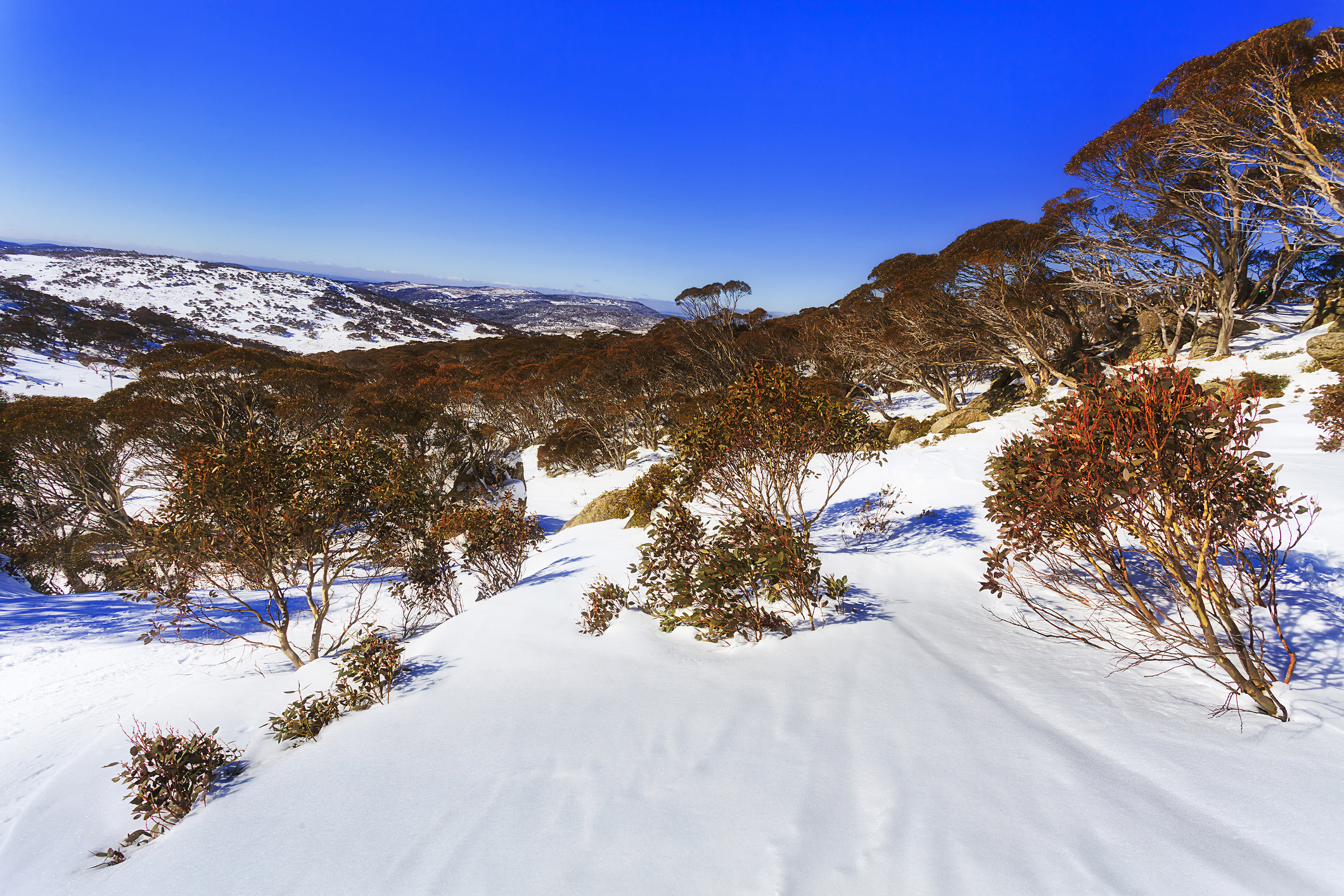 Perisha Thredbo Falls Creek Lack of snowfall and warm weather
