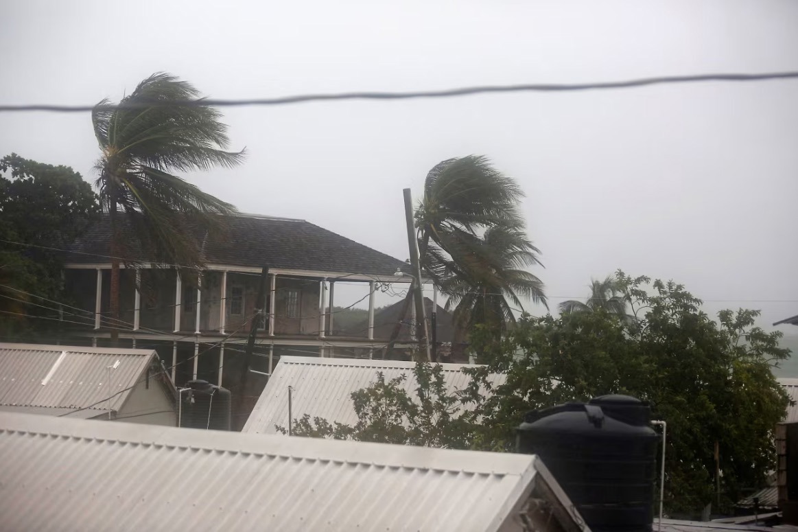 Palm trees sway in the wind in Port Royal, Jamaica, on October 27.
