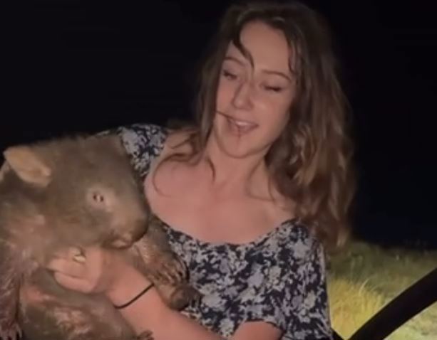 Influencer seen taking baby wombat