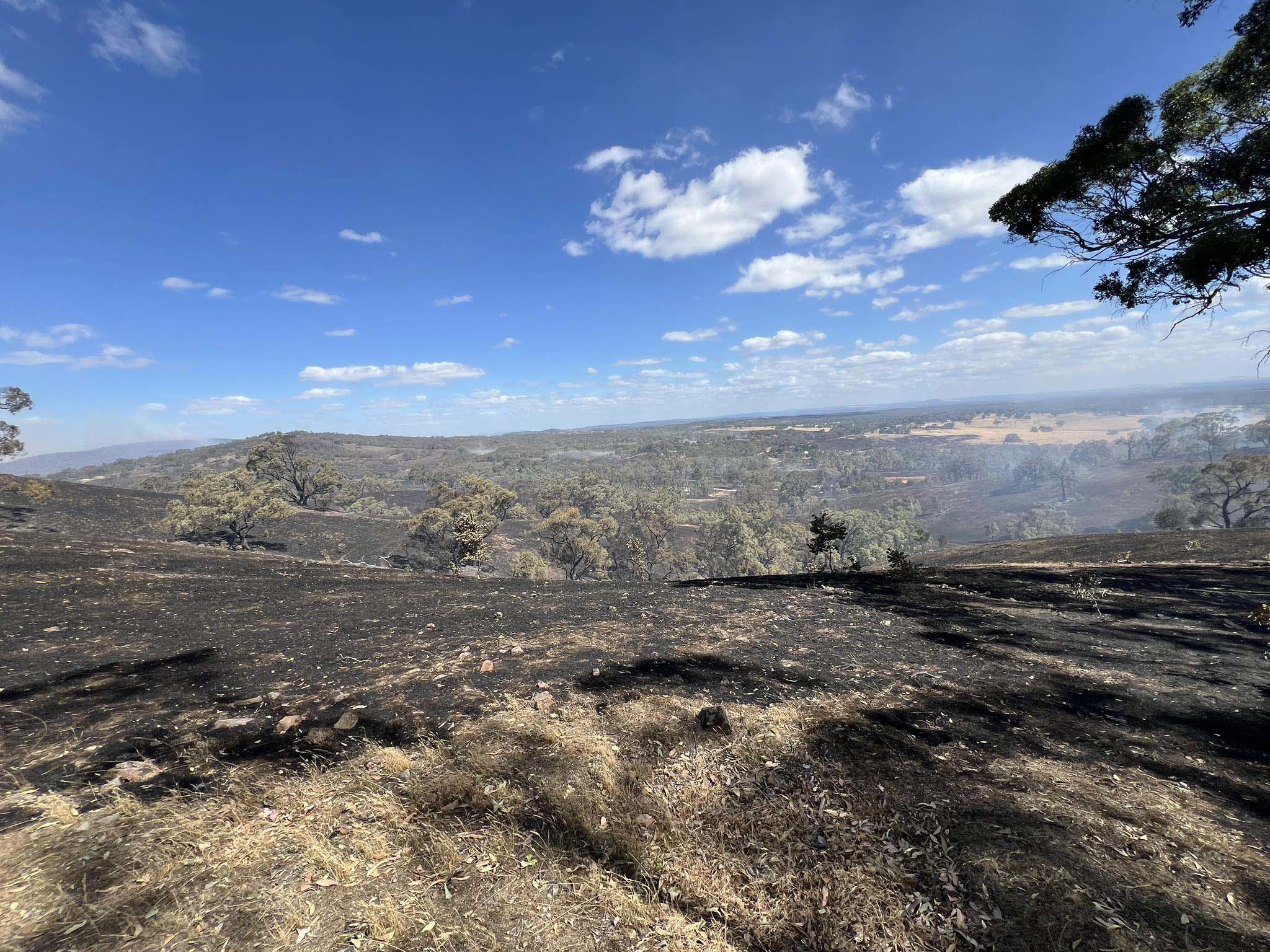 The town of Harcourt in Victoria has been devastated by the bushfires.