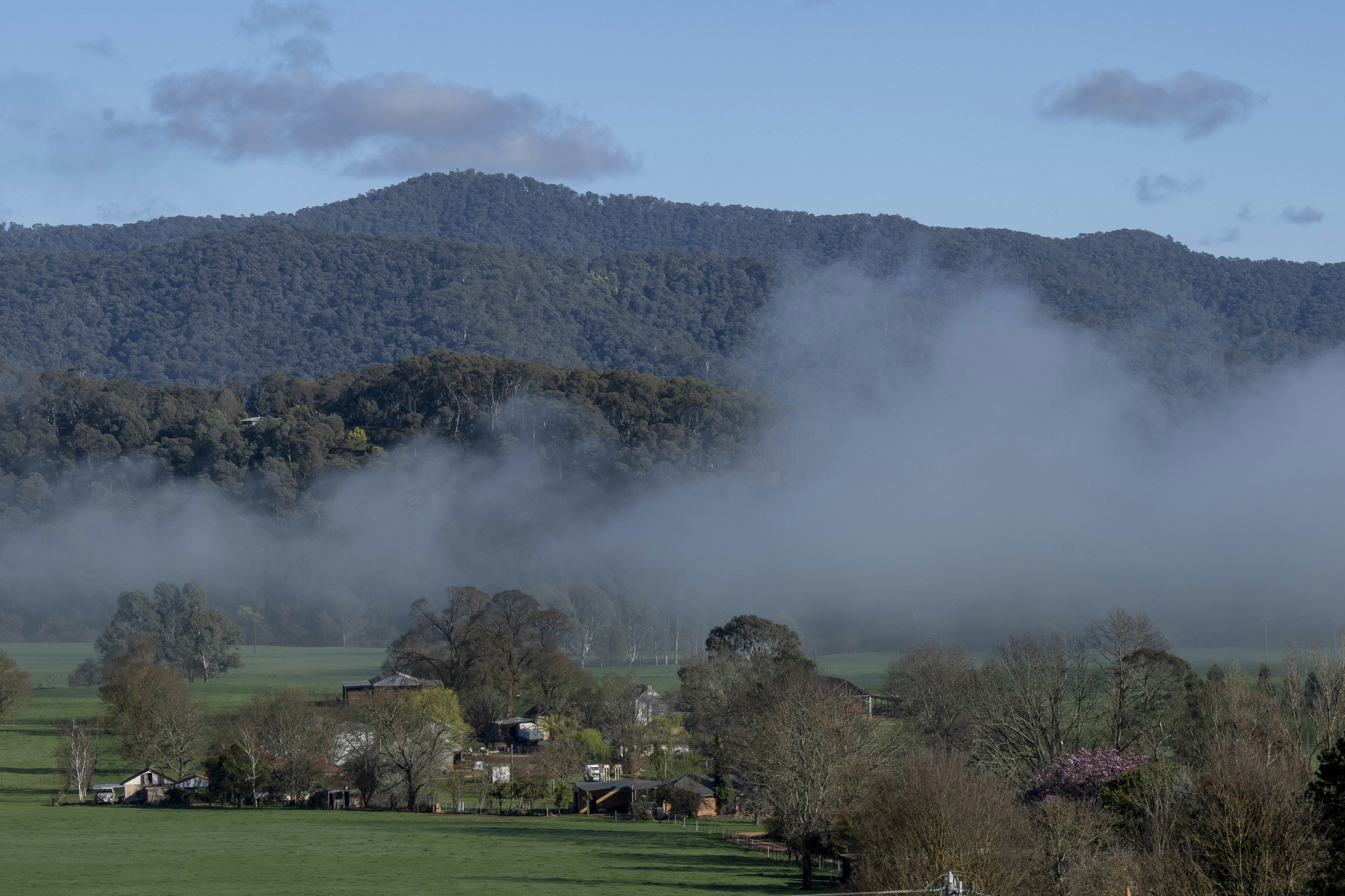 Porepunkah where Dezi Freeman lives cover in morning fog. 9 September 2025. Photo: Eddie Jim.