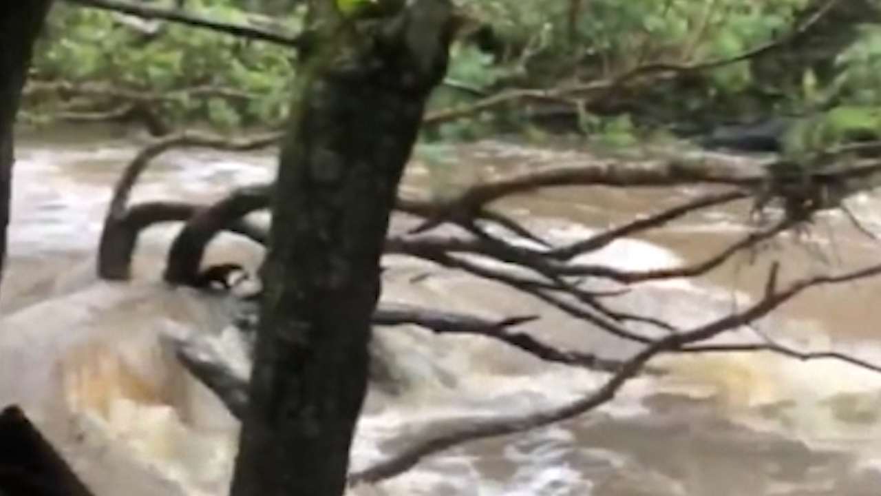 Four people have been rescued after cars were swept into floodwaters in NSW.