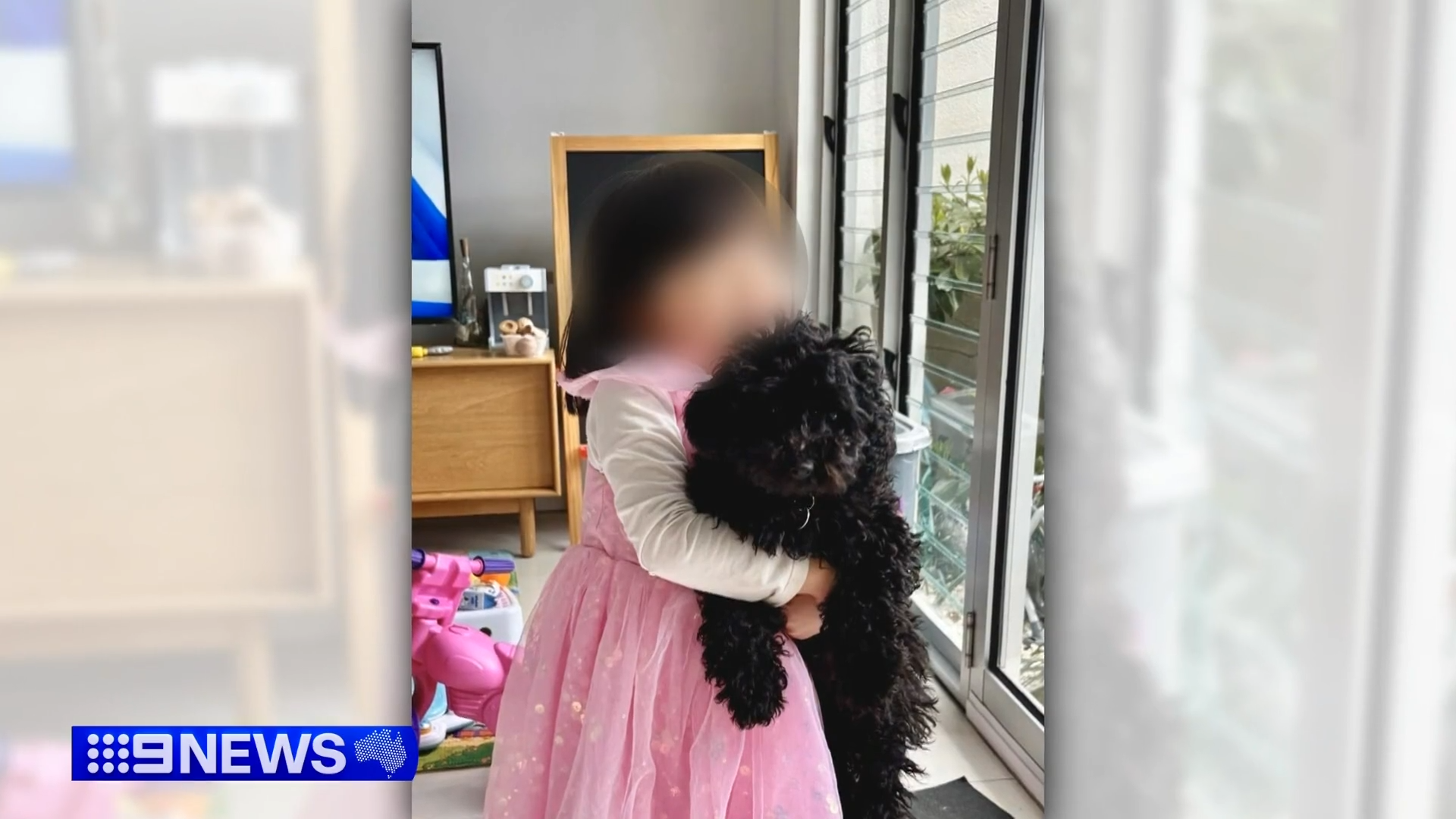 stolen puppy dora
