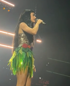 Katy Perry Lifetime tour 