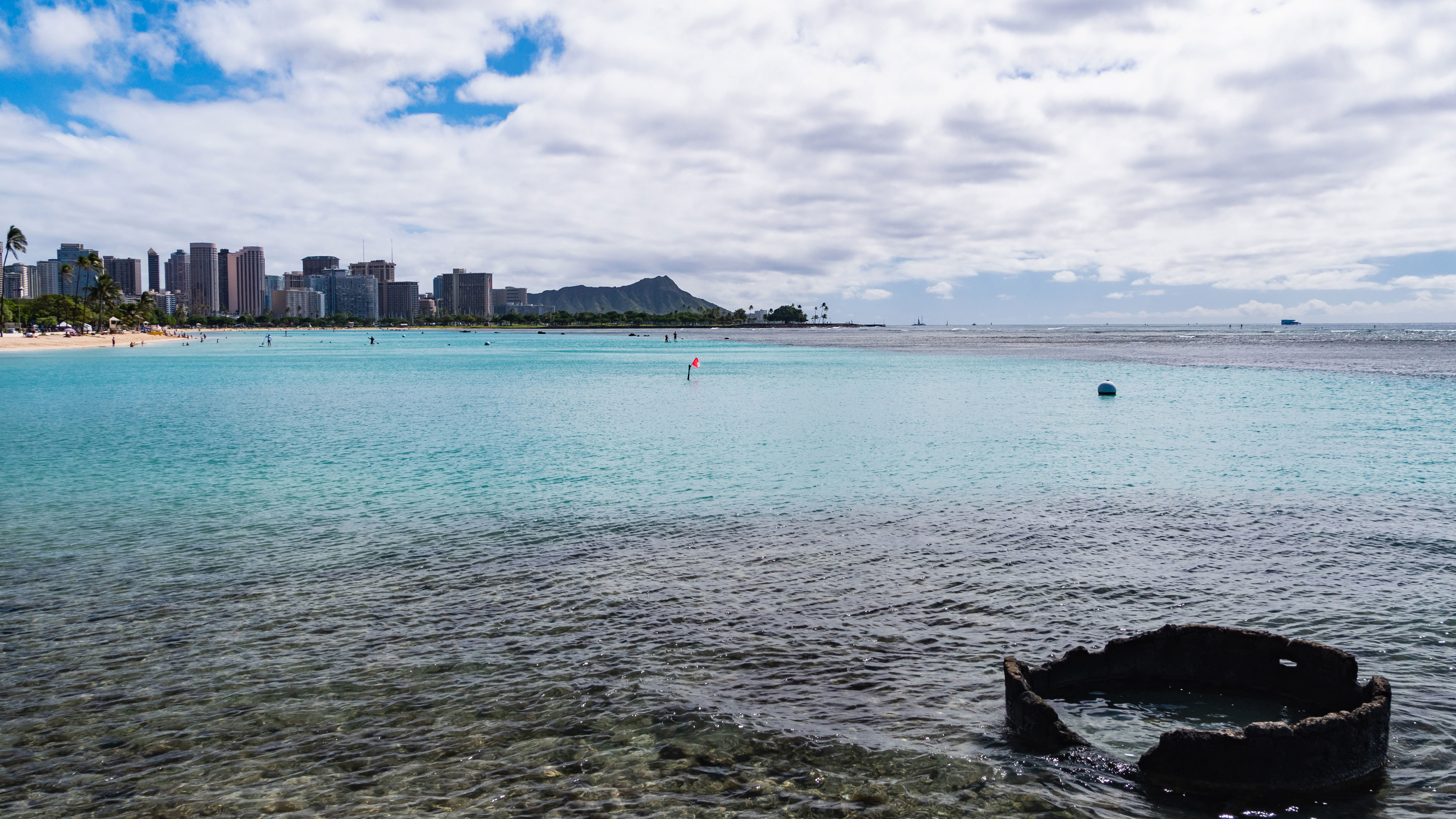 The shark attack happened at Kewalo Basin in Honolulu, Oahu Island, Hawaii.