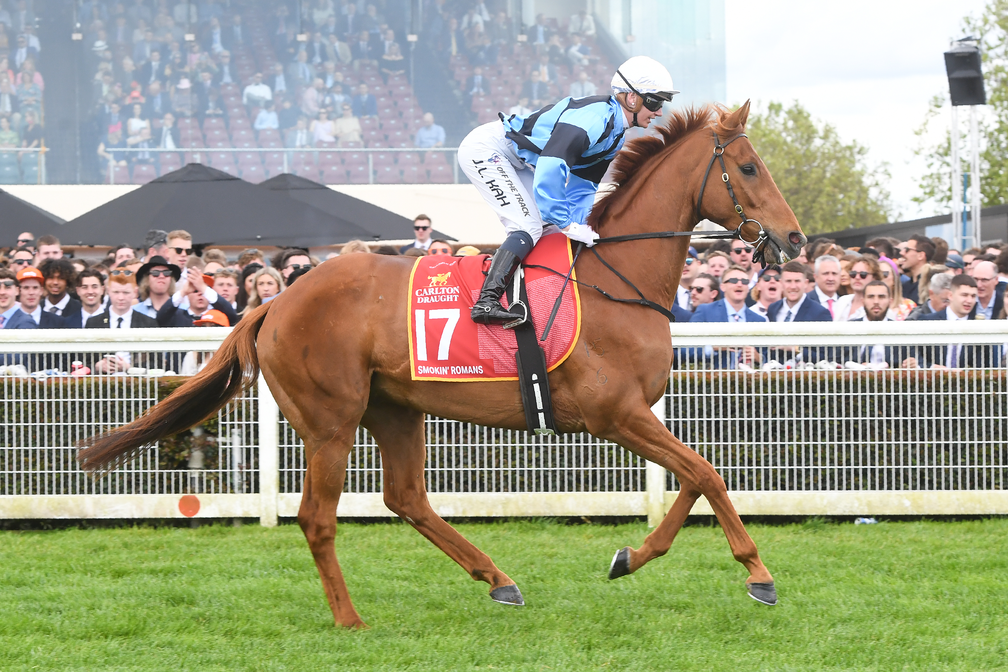 Smokin' Romans (NZ) on the way to the barriers prior to the running of the Carlton Draught Caulfield Cup at Caulfield Racecourse on October 15, 2022 in Caulfield, Australia. (Photo by Brett Holburt/Racing Photos)