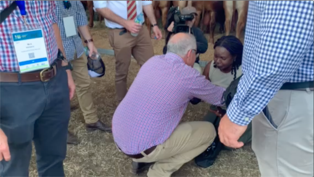 A lady has dropped to her knee's following Prime Minister Scott Morrison's press conference in Rockhampton this morning, begging for help for her family in Africa. 
