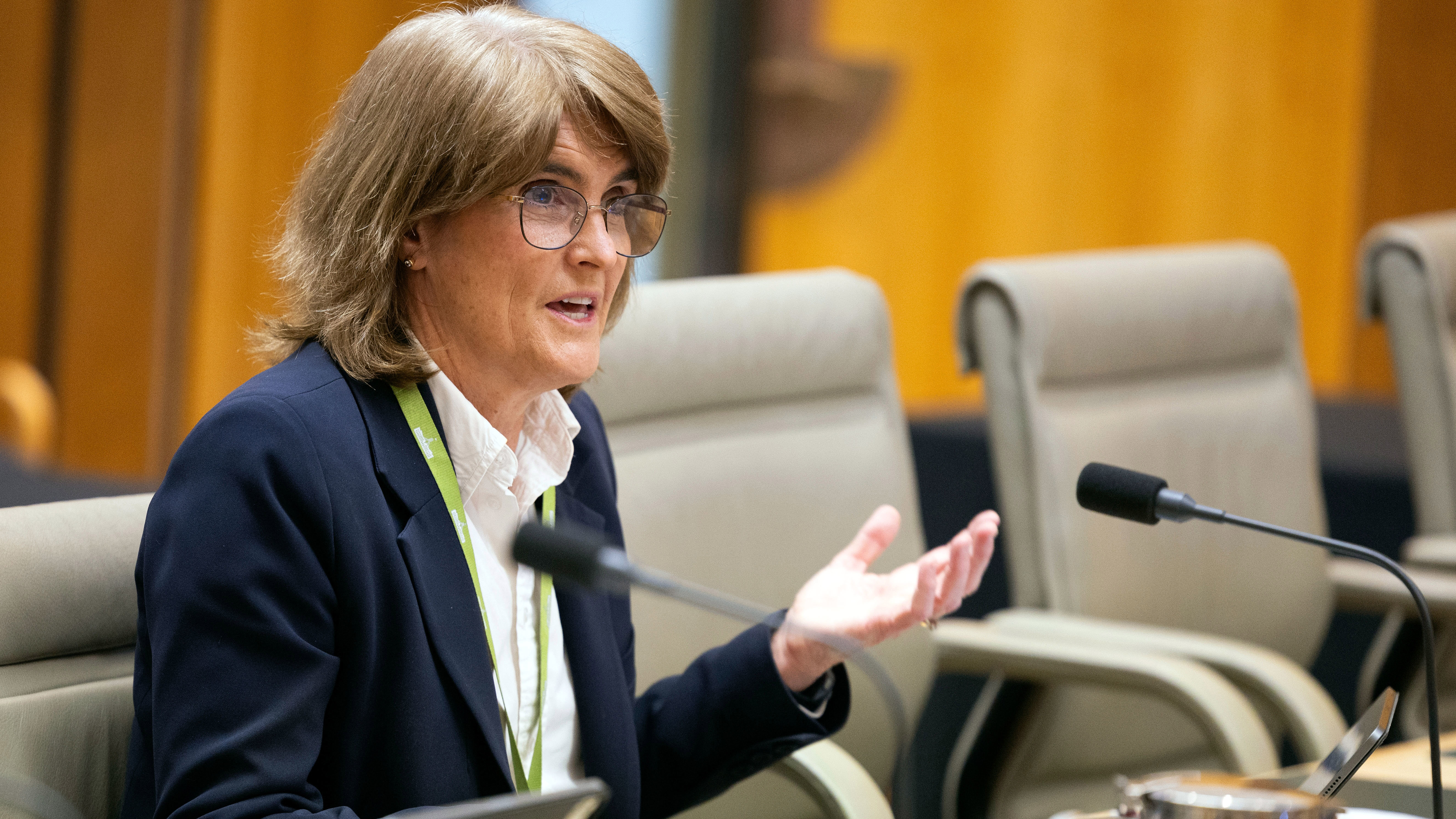 Reserve Bank Governor Michele Bullock during a Senate estimates hearing.