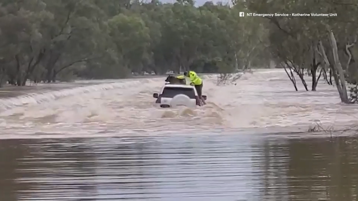 A police officer rescued the dog from floodwaters west of Katherine.