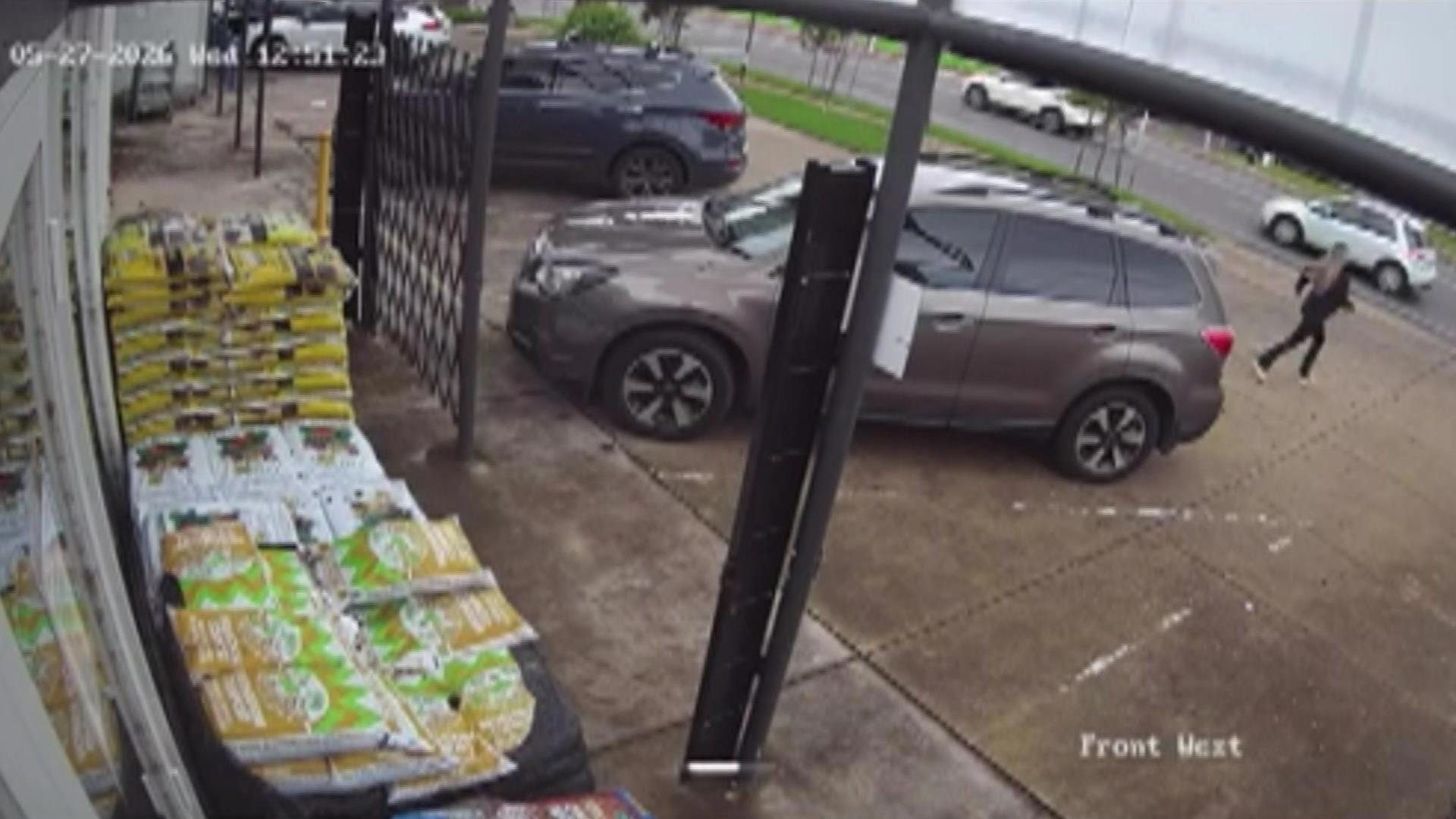 Nine-months' pregnant nursery owner chases down alleged plant thief