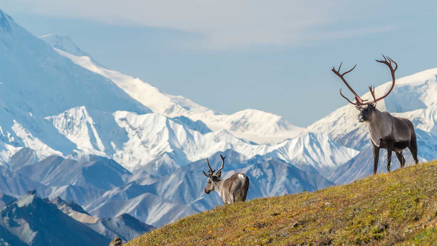 La montaña se conoce como Denali desde hace miles de años.