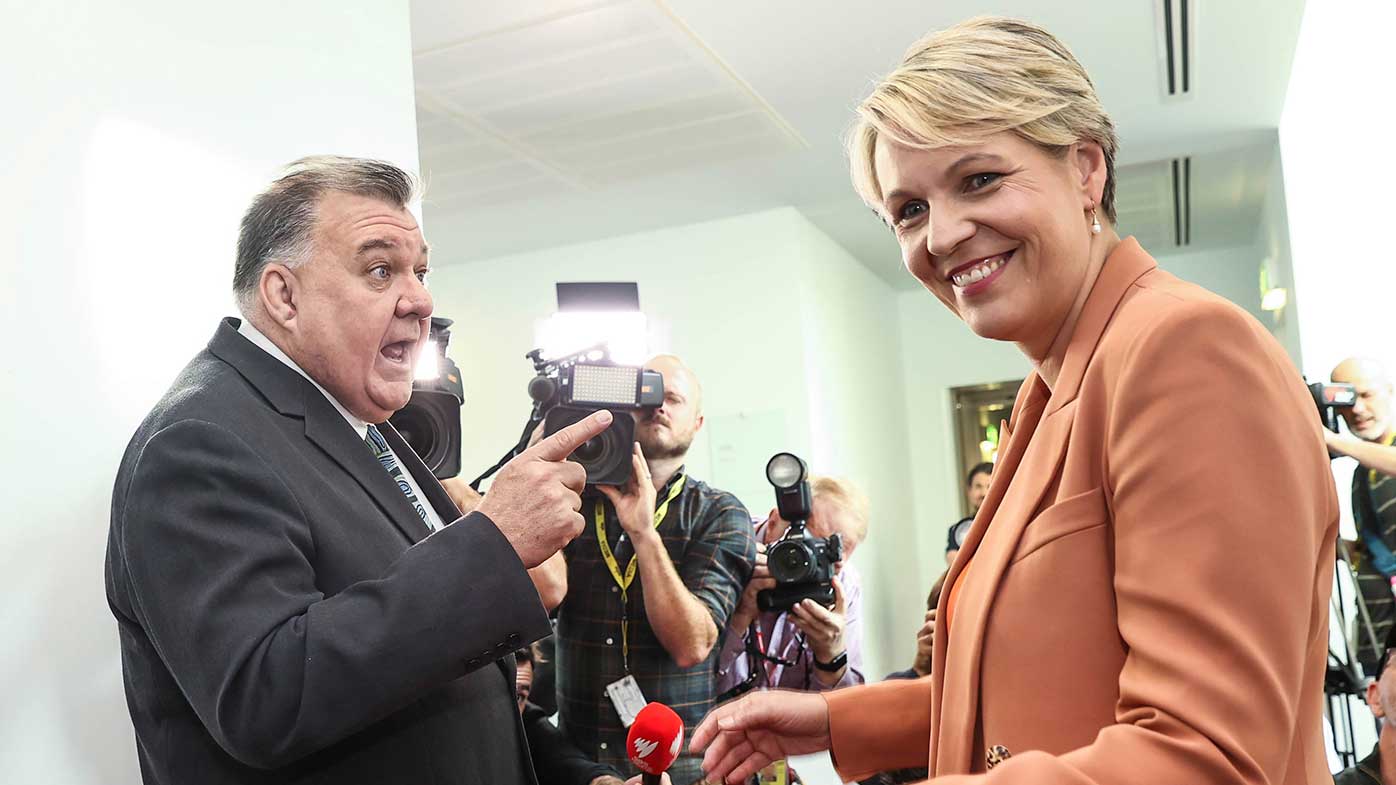 Craig Kelly and Tanya Plibersek in a confrontation in Parliament House.