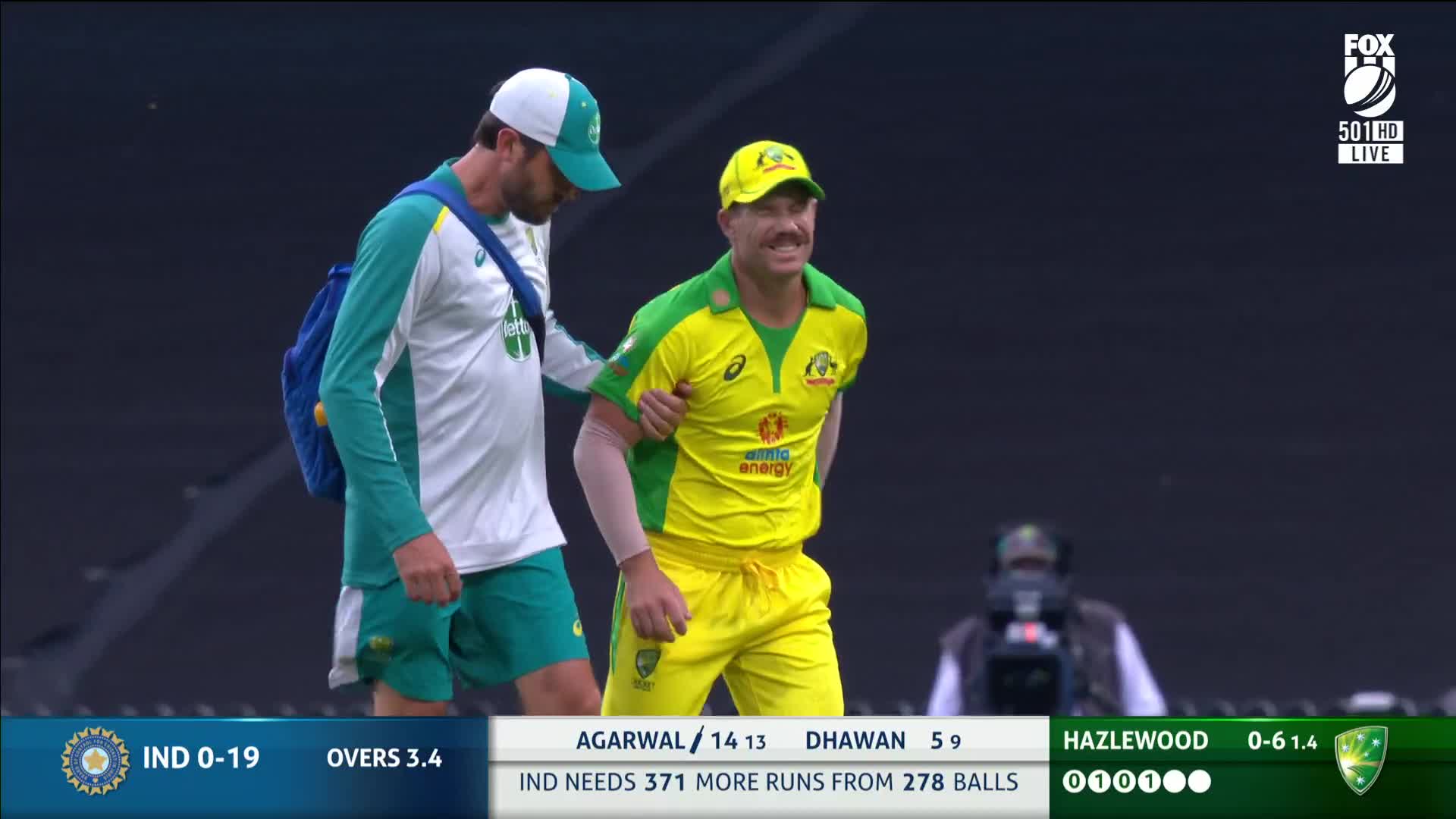 David Warner limps off the field.