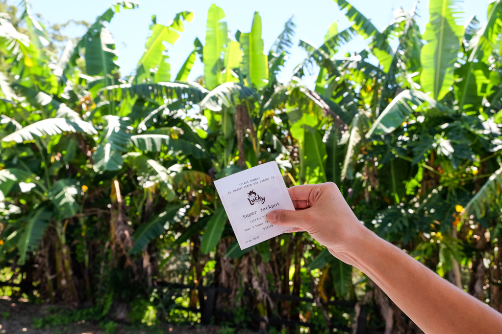 A NSW retiree who won $100,000 in last night's Lucky Lotteries draw will share the prize with her family. The woman from Beresfield in Newcastle won first prize in the super jackpot draw 10803 drawn on Thursday.