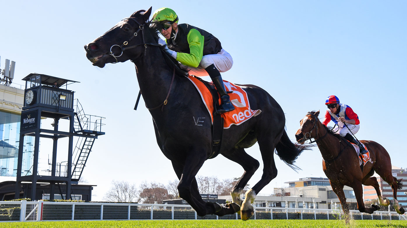 Melbourne Cup horses 2020, form guide, tips from Simon O'Donnell
