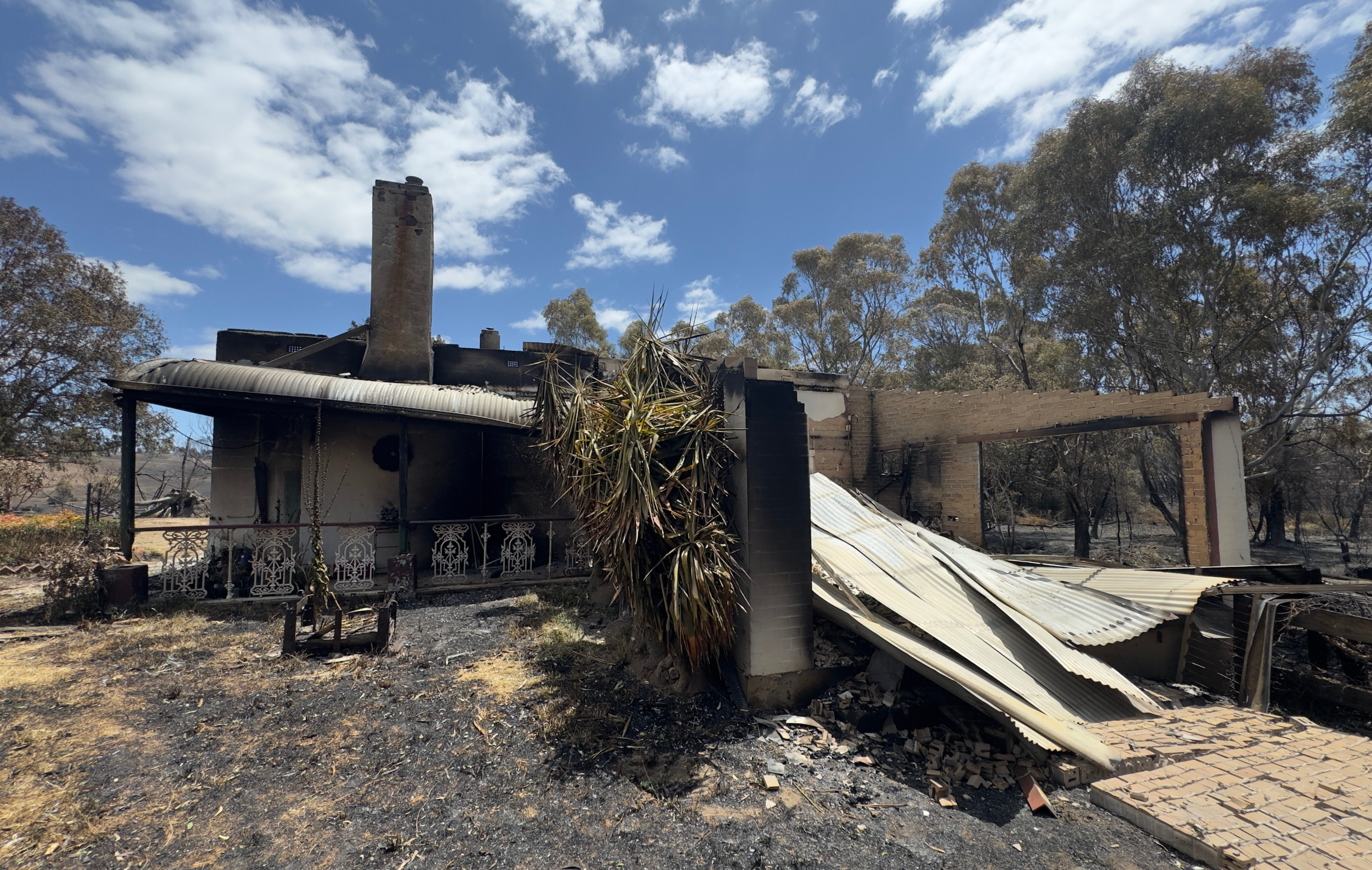 Mandy Dashwood bushfires