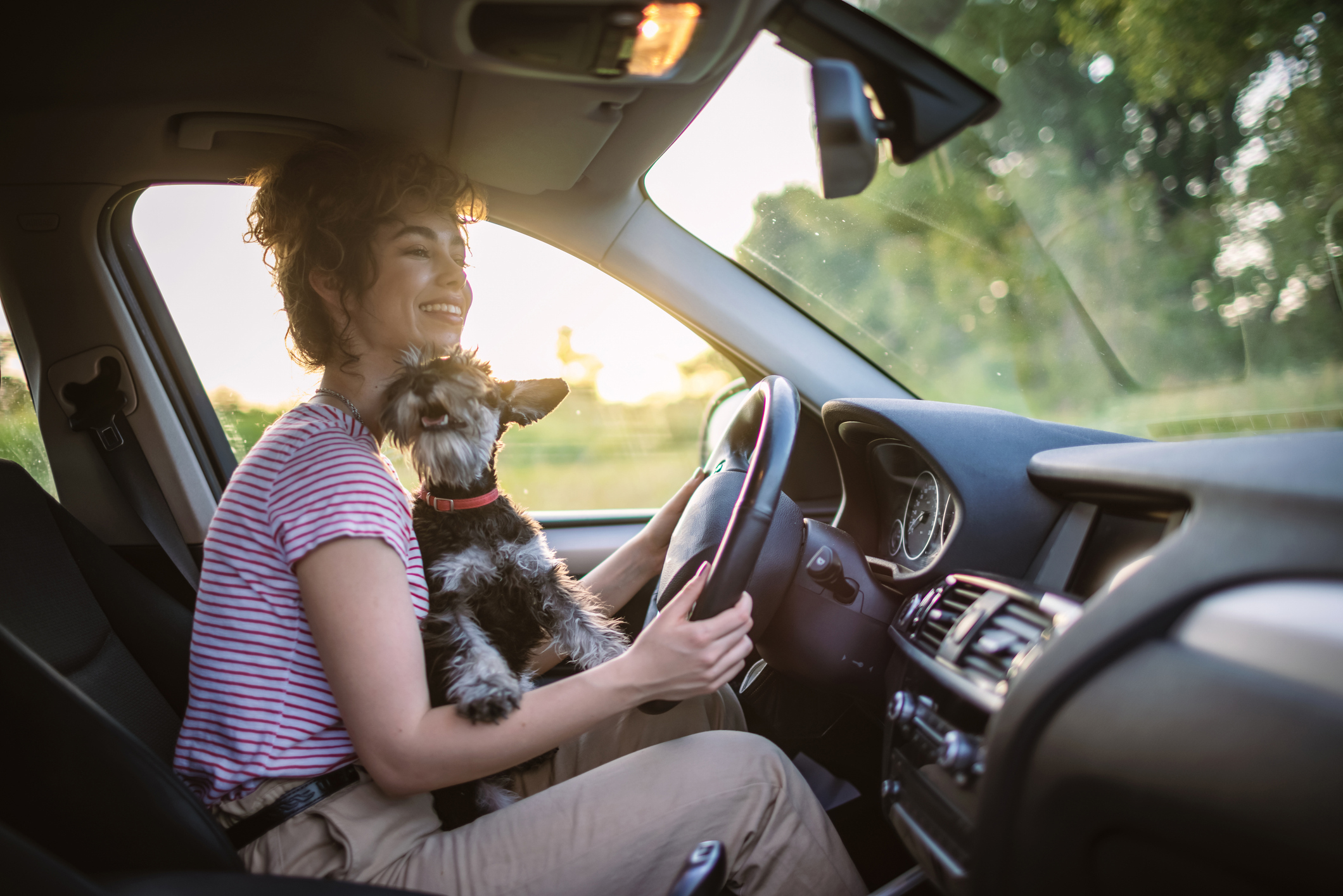 Beautiful young woman enjoying road trip with her cute schnauzer.