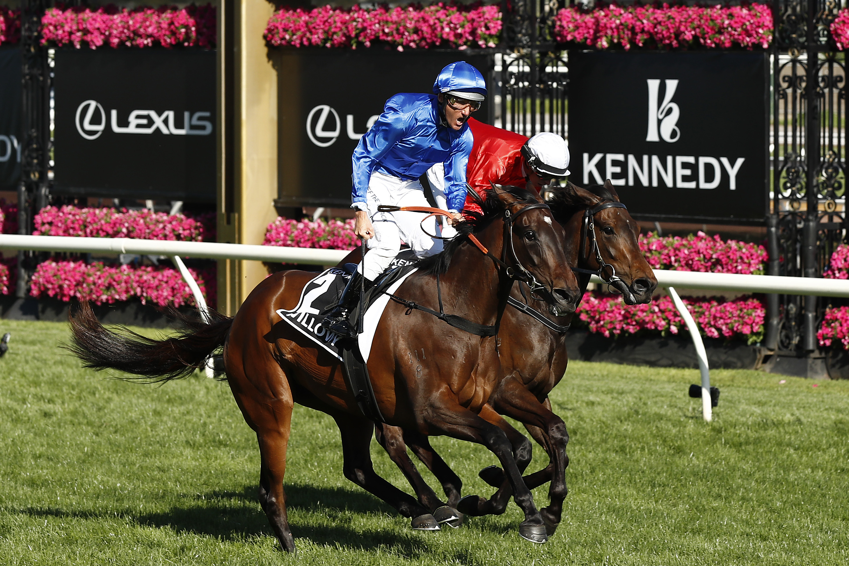 Damien Oliver riding Willowy to win the Kennedy Oaks.