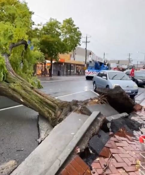 Trees bring down powerlines, rip up footpaths as storms lash Victoria