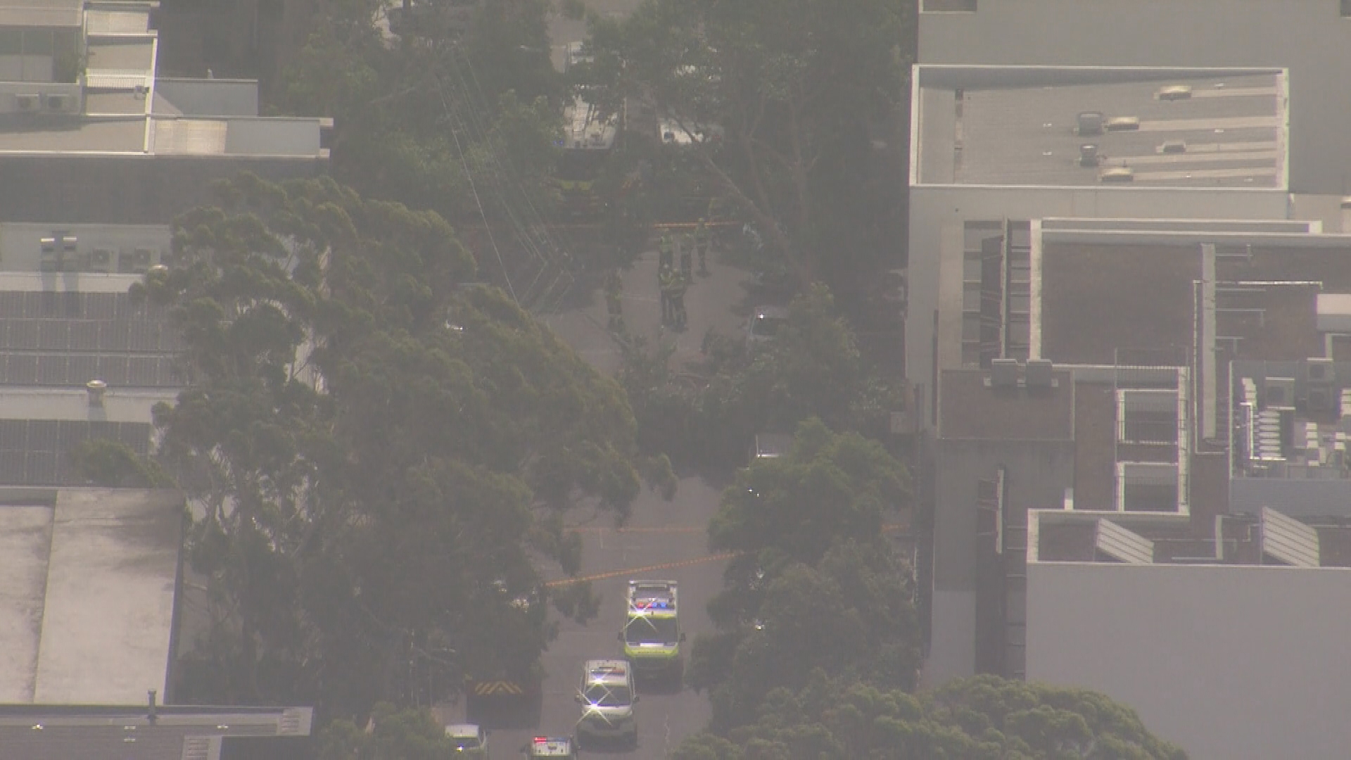 A person is trapped in a car after strong winds knocked a tree on top of the vehicle south of Sydney's CBD. 