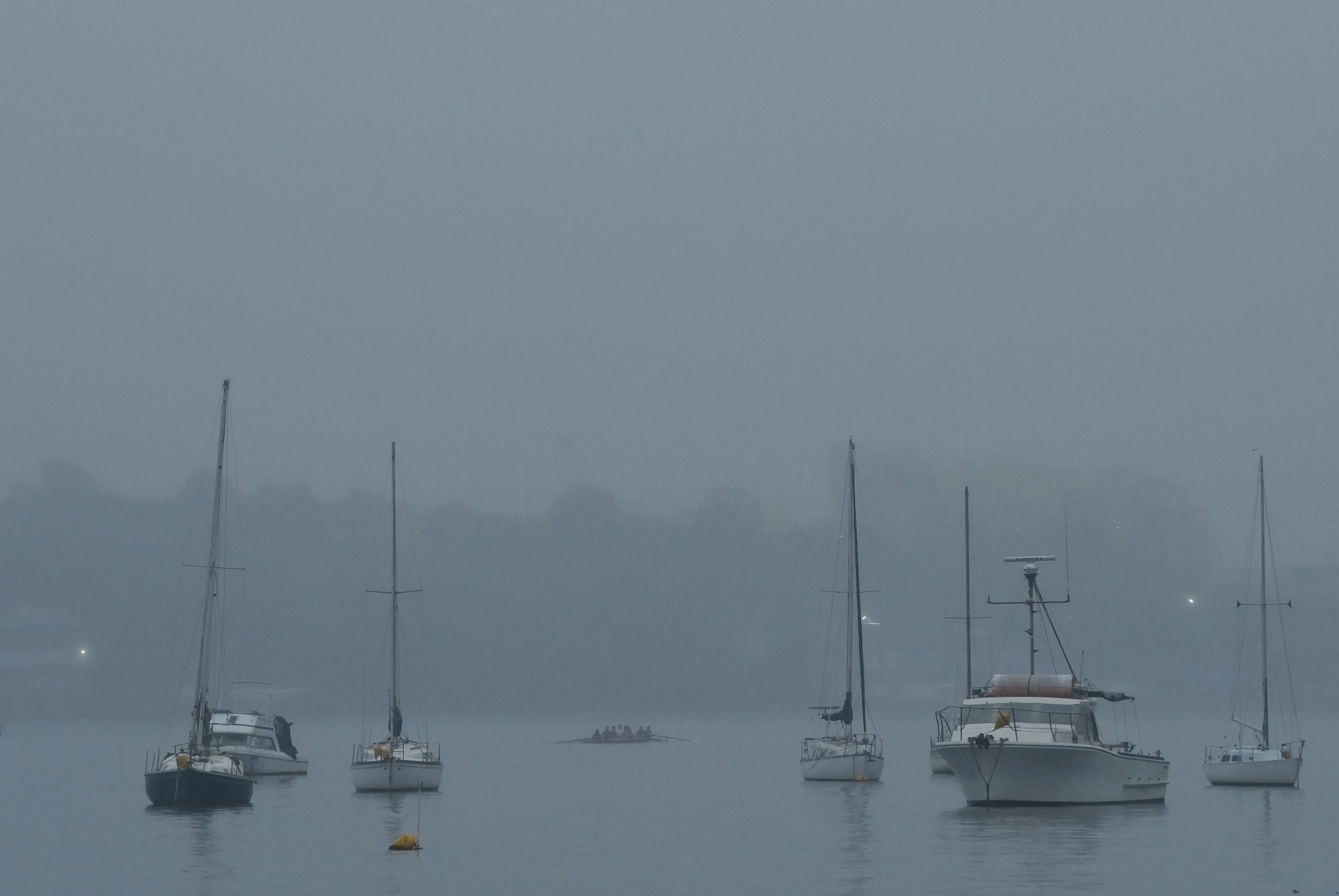 Despite showers of rain a rowing crew during training passes moored boats in Iron Cove near Lilyfield, NSW. 