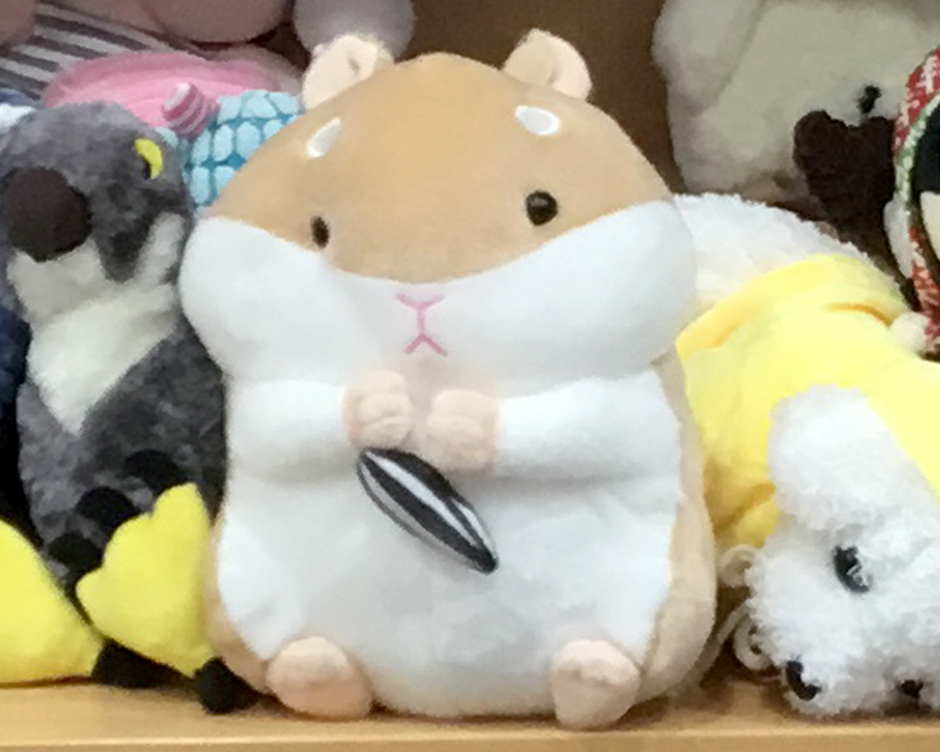 Queensland Office of Fair Trading dodgy toys report