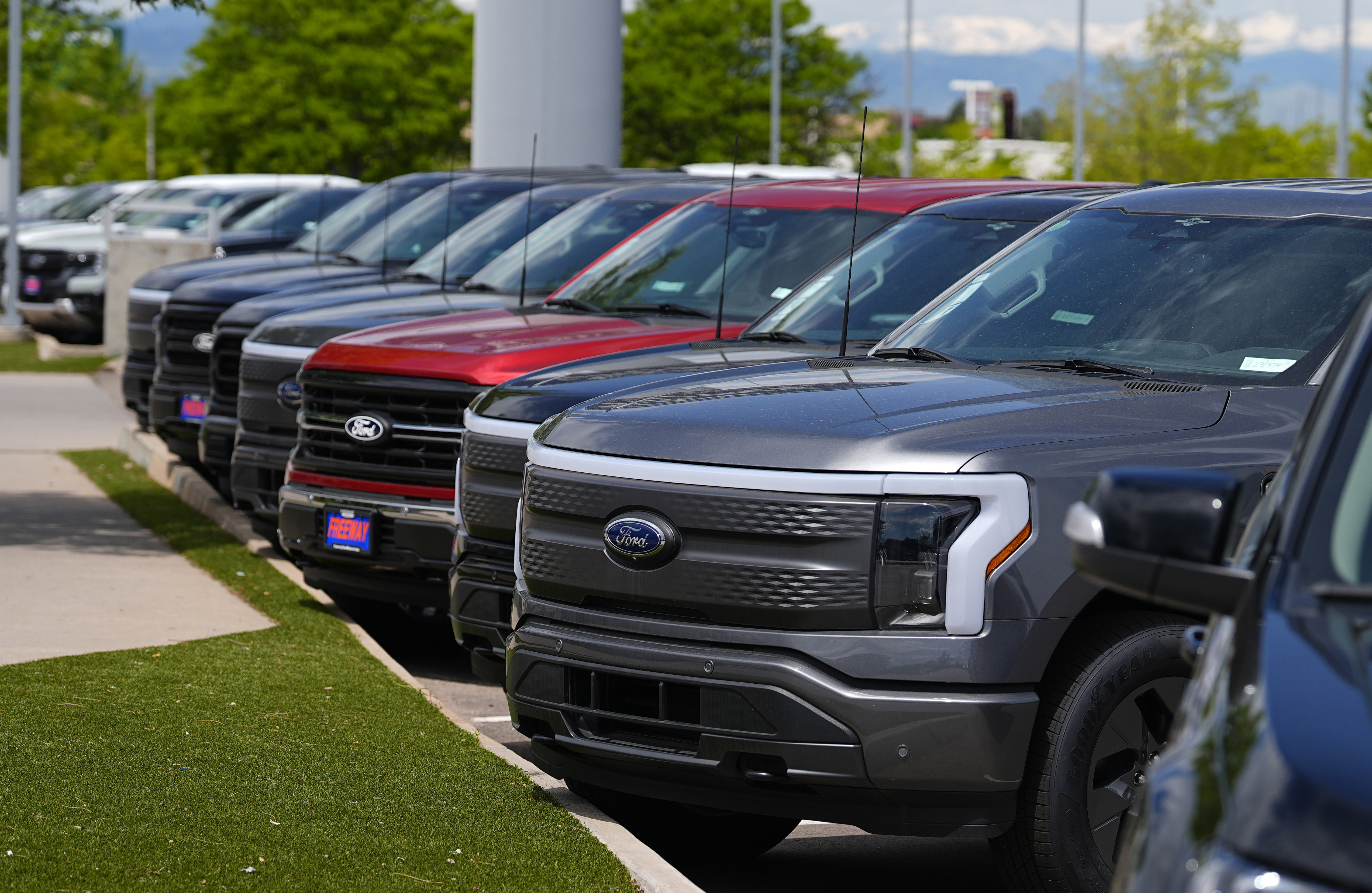 Las camionetas pickup eléctricas F150 y Lightning se encuentran en un concesionario Ford el 19 de mayo de 2024 en Denver. 