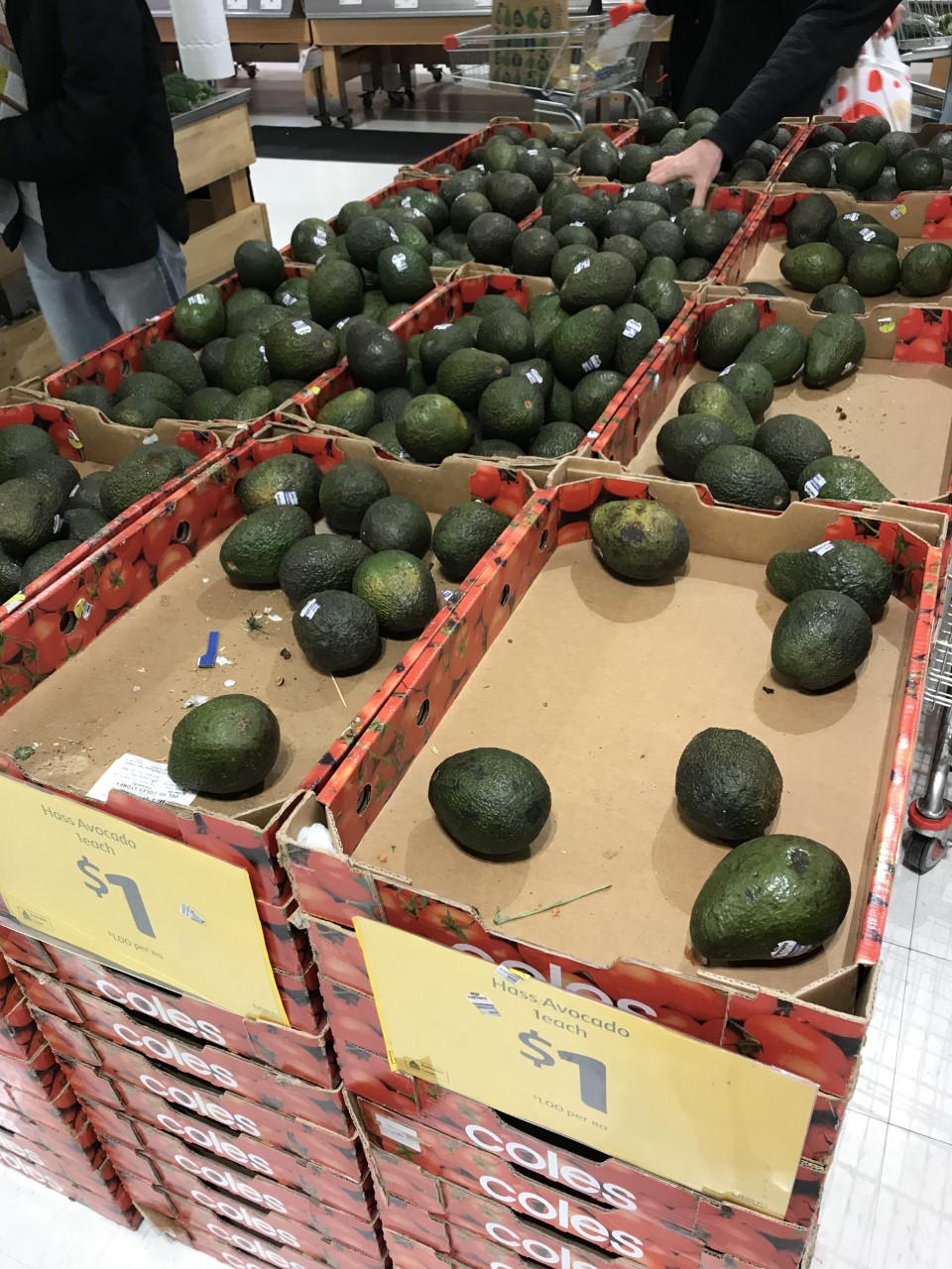 People panic buying avocados in Broadway Shopping Centre, Sydney.