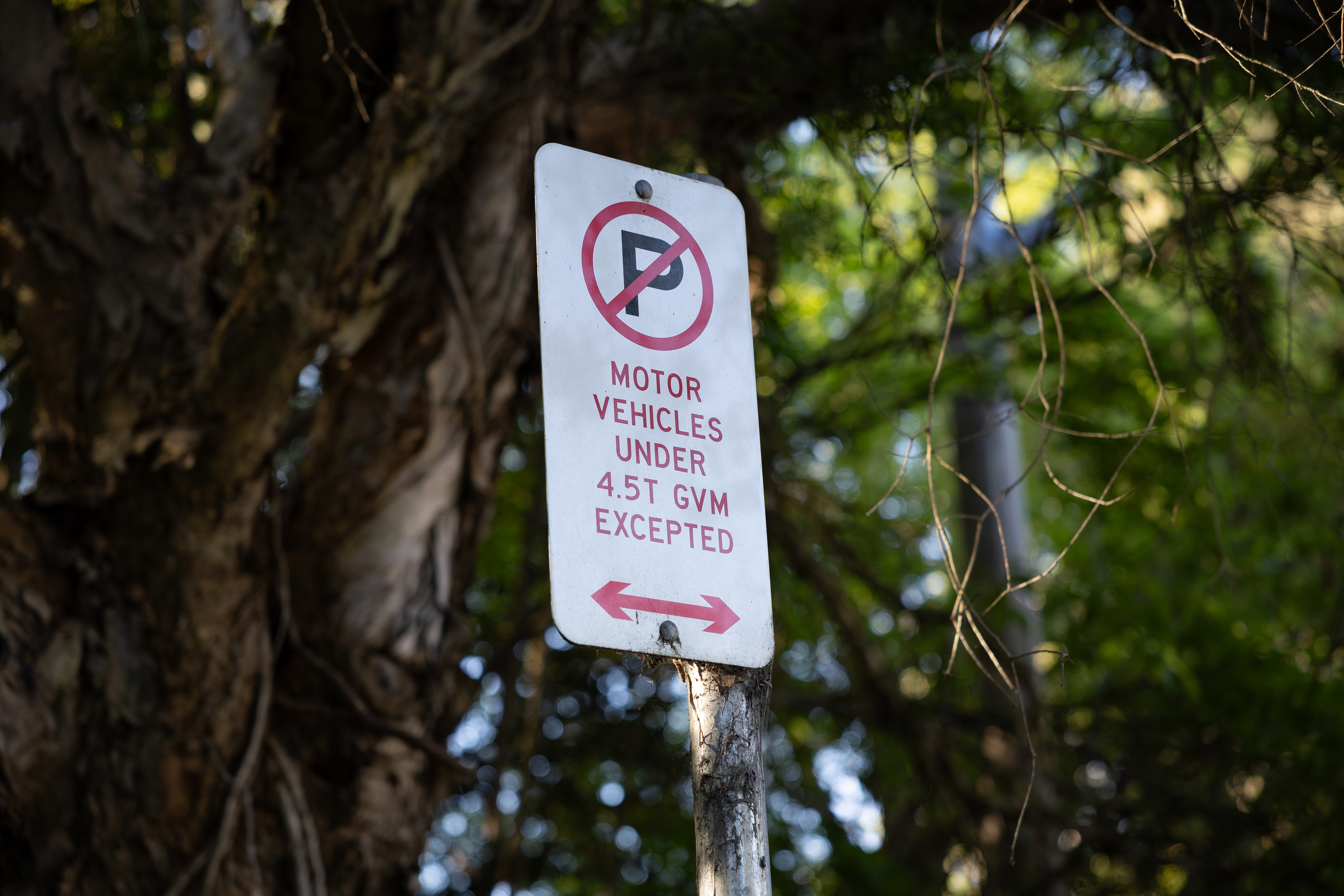 NEWS: Parked or abandoned boat tailers and caravans along Darley Rd, Leichhardt. September 15th, 2025, Photo: Wolter Peeters, The Sydney Morning Herald.