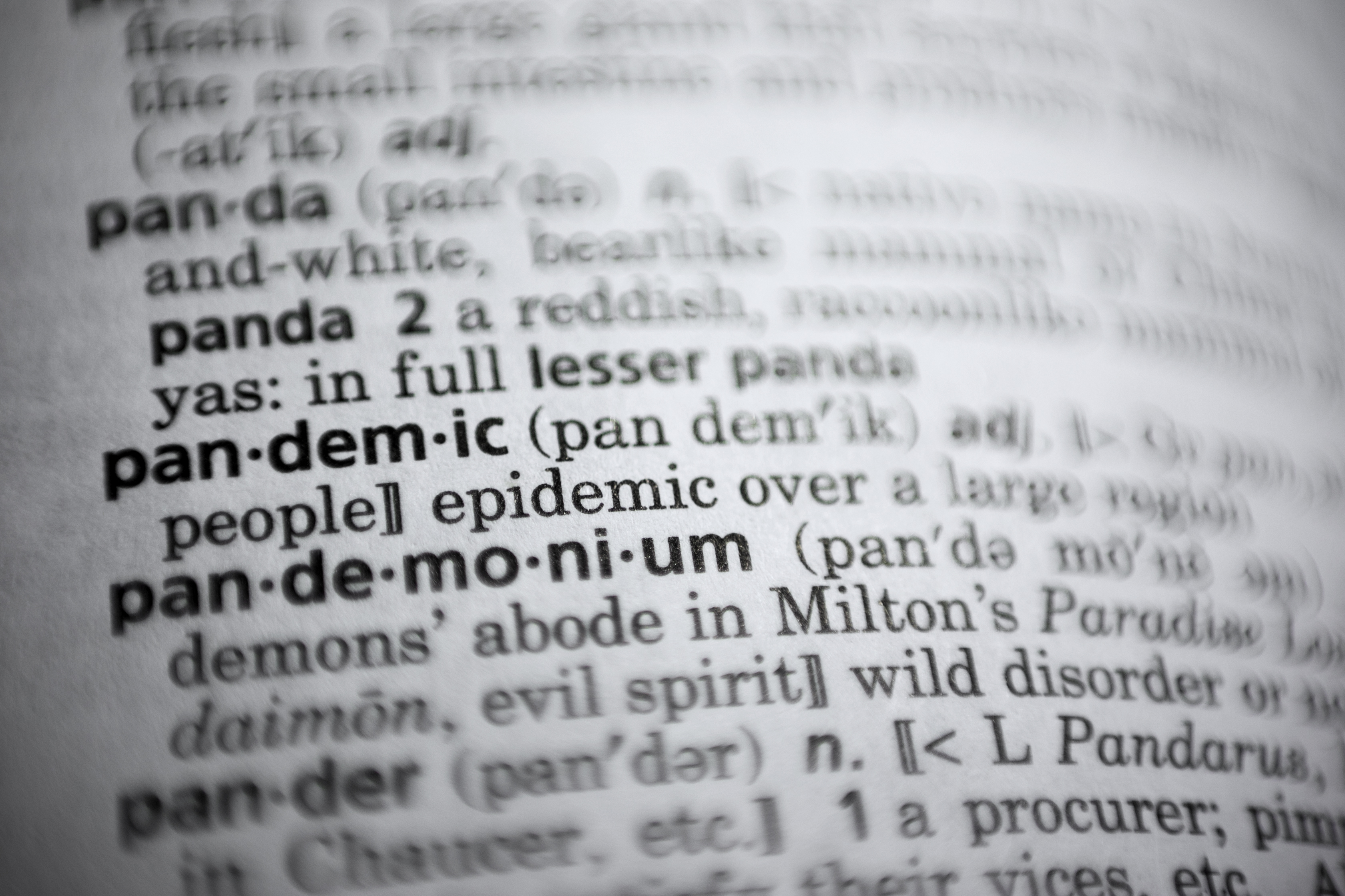 Le Petit Robert introduced the word "iel" — an amalgamation of "il" (he) and "elle" (she) — to its online dictionary. 