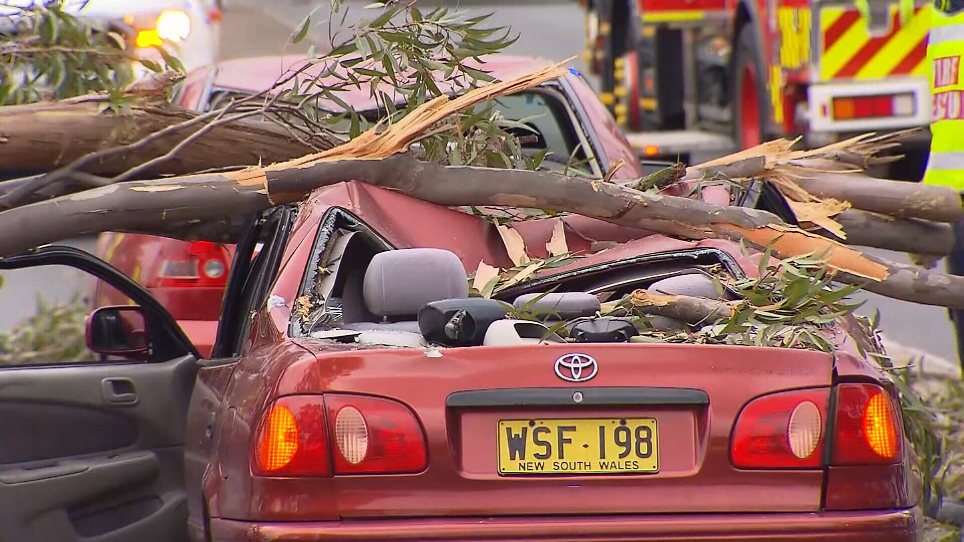 Damaging winds cause havoc in Sydney wild weather NSW news