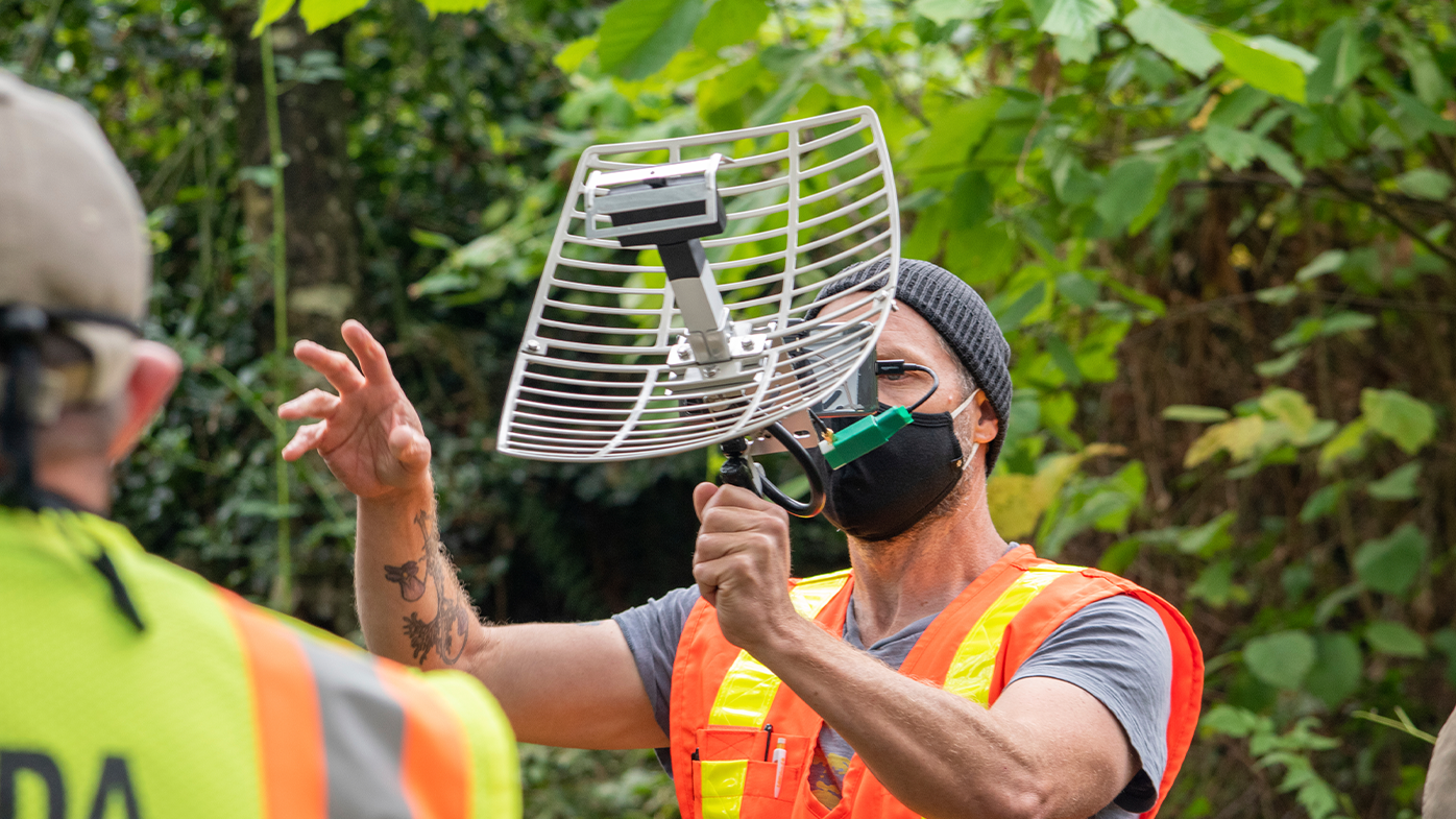 In this October 7, 2020, photo provided by the Washington State Department of Agriculture, entomologist Chris Looney tracks a live Asian giant hornet affixed with a tracking device near Blaine, Wash. 