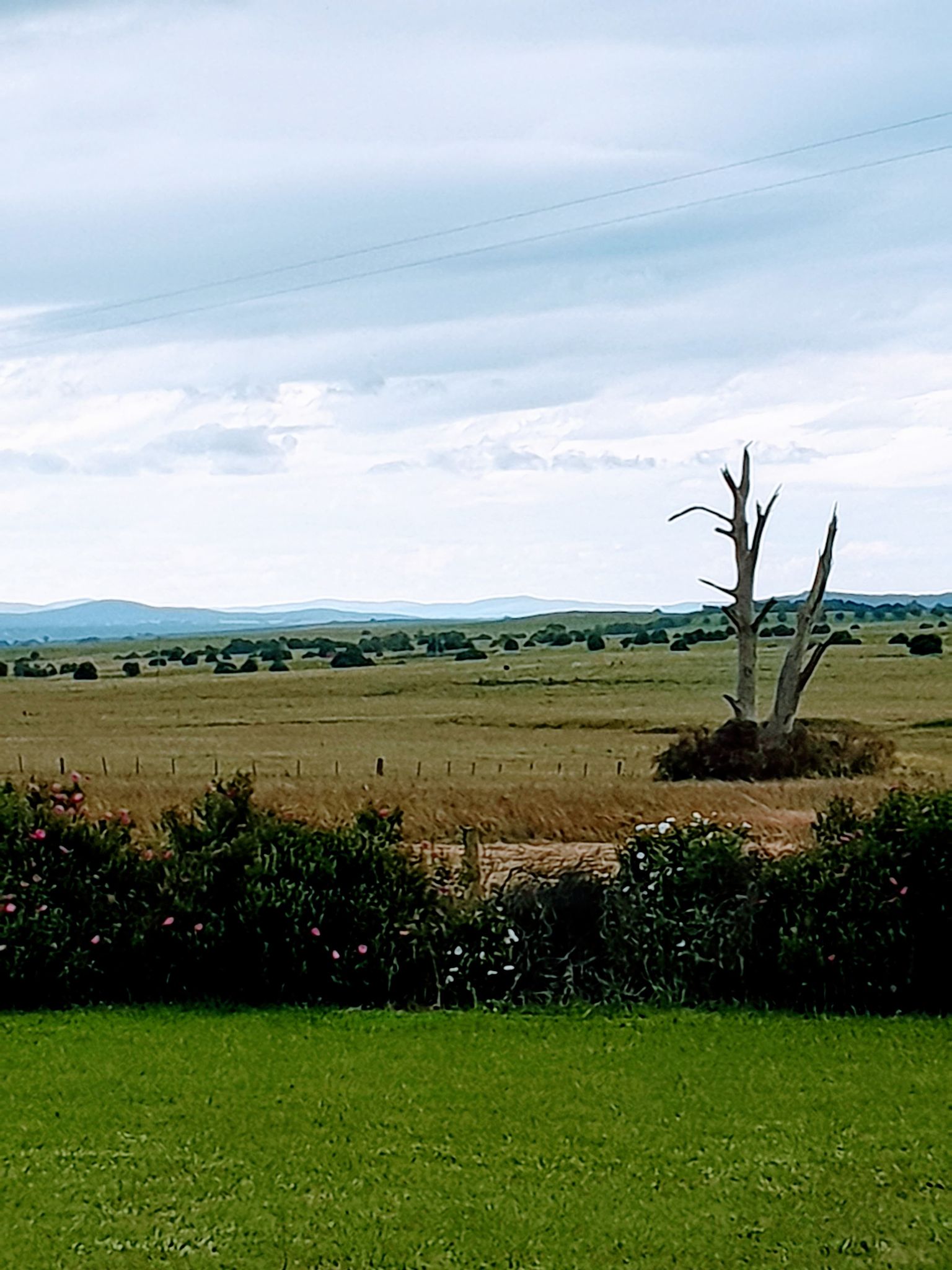 Braidwood fires.