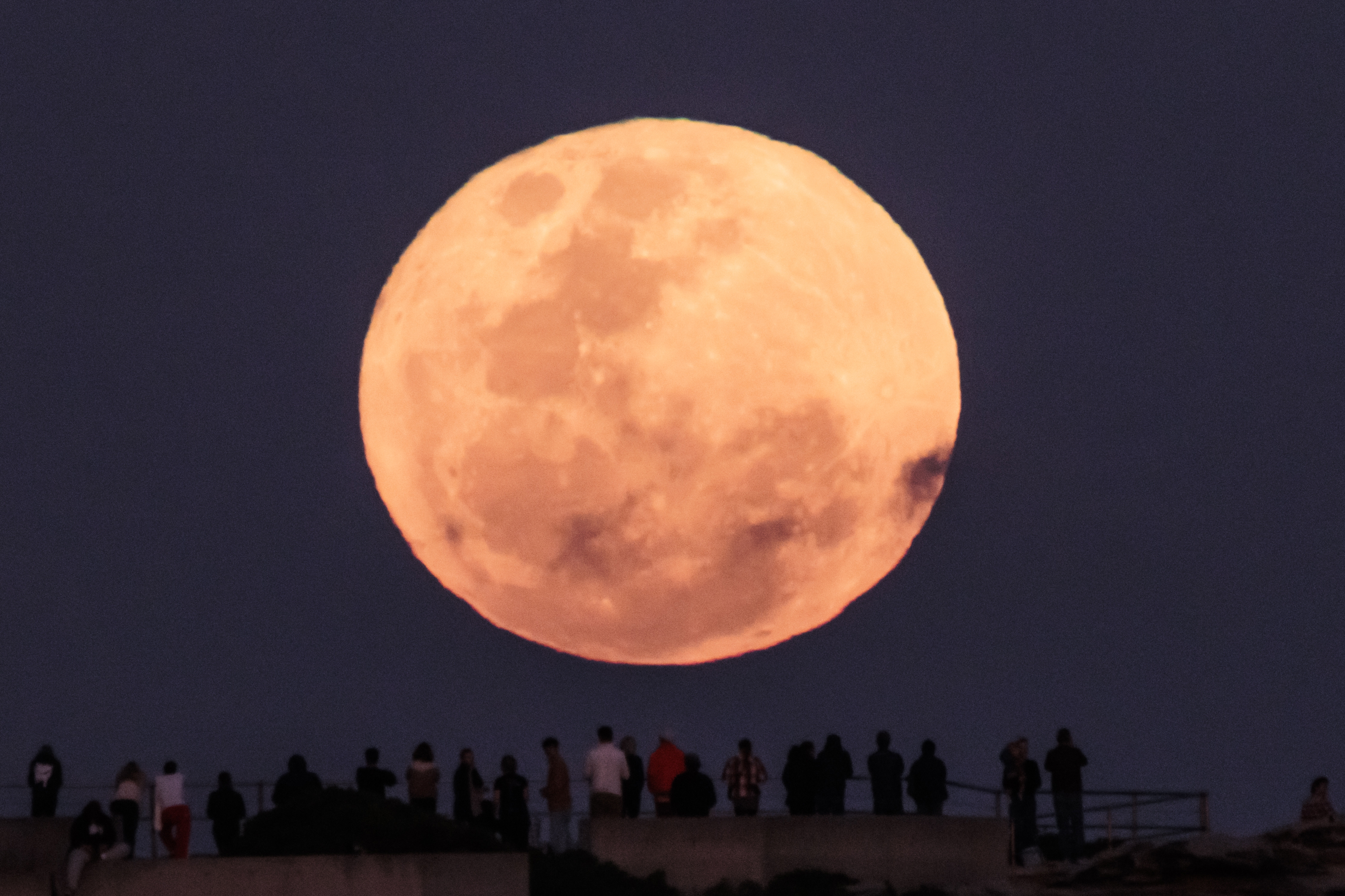 The super blue moon rises over Bondi Beach.  The rare phenomenon occurs when super moon, which occurs when the moon appears larger than usual, and a blue moon, or the second full moon in a month occur together.  31 August, 2023. Photo: Brook Mitchell