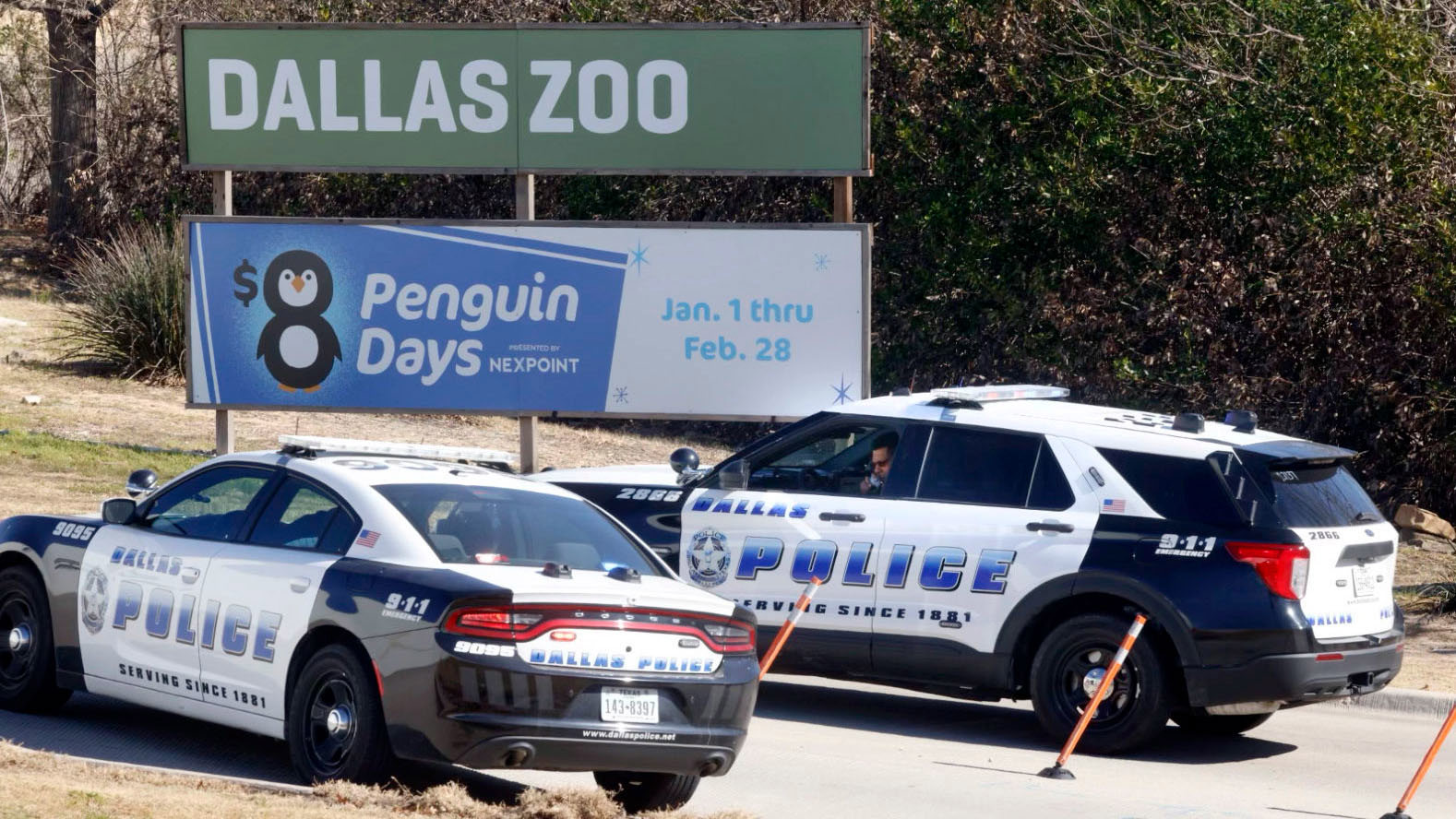 A pair of Dallas police vehicles and officers sit at an entrance at the Dallas Zoo