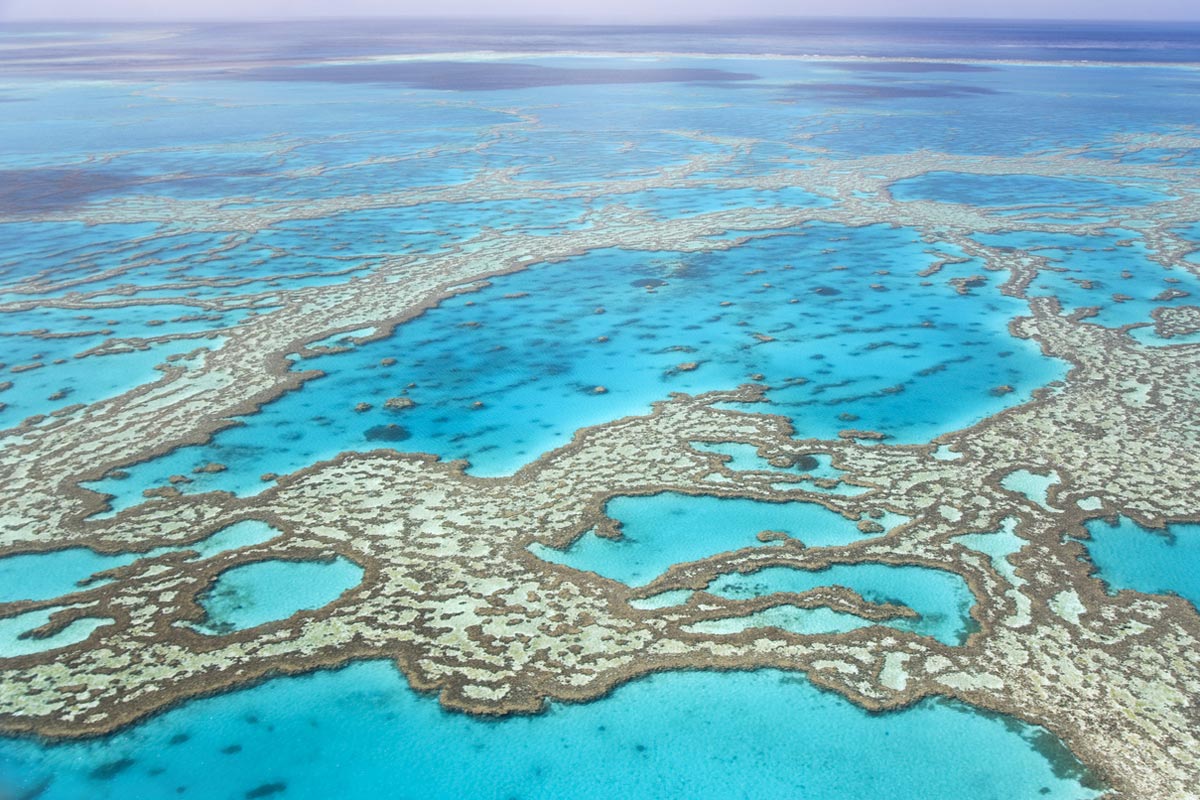 QLD - Great Barrier Reef iStock