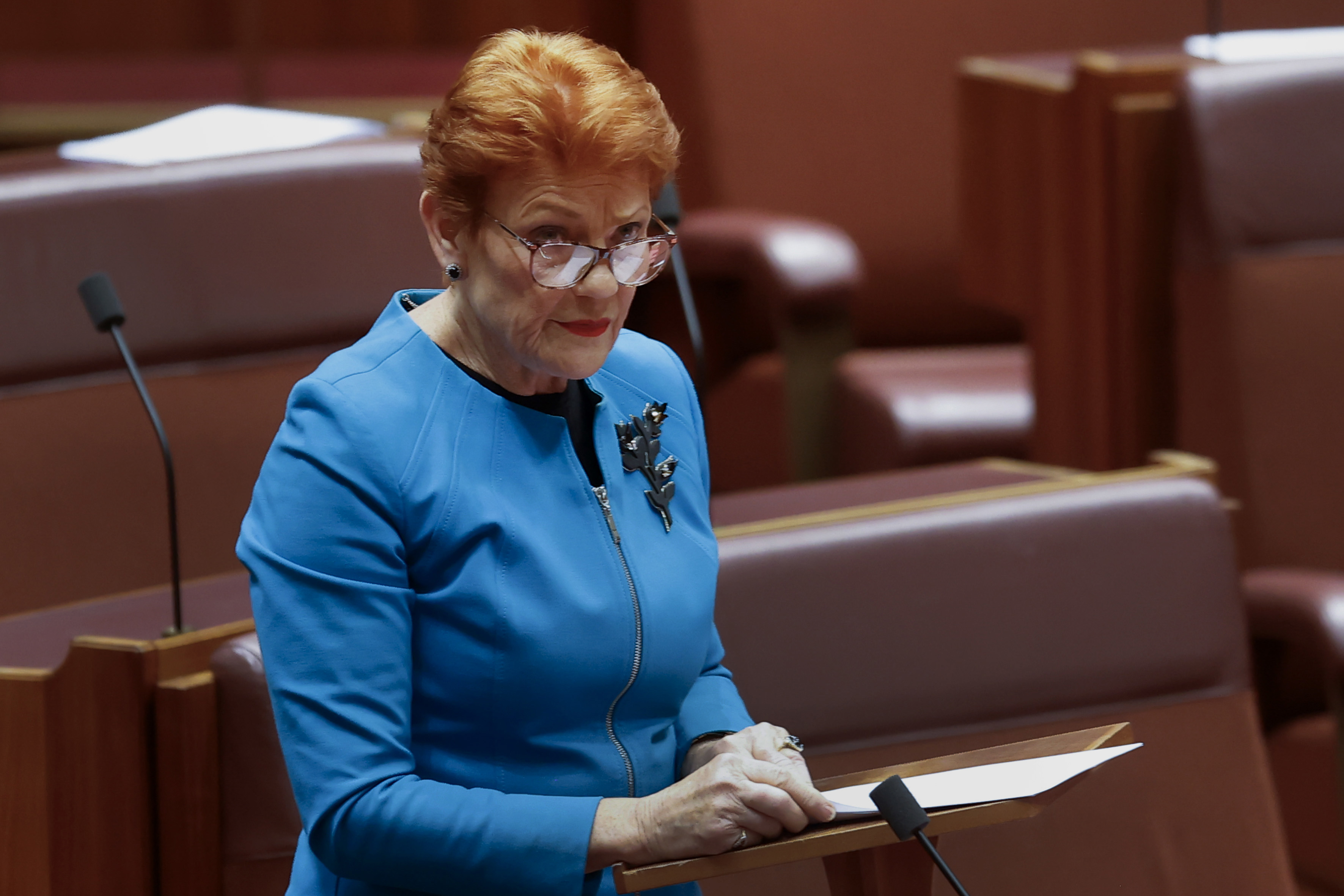 One Nation Leader Pauline Hanson addresses the Senate.