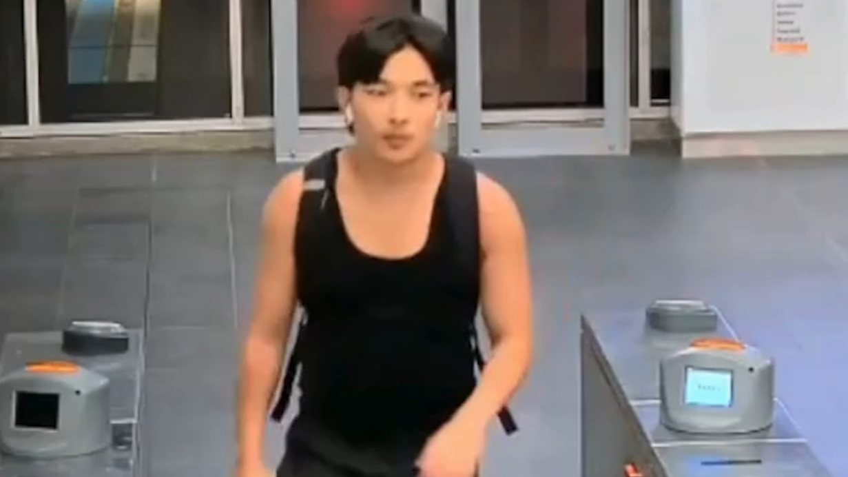 Police are appealing for public assistance as part of an investigation into an alleged sexual act on a train in Sydney's west.