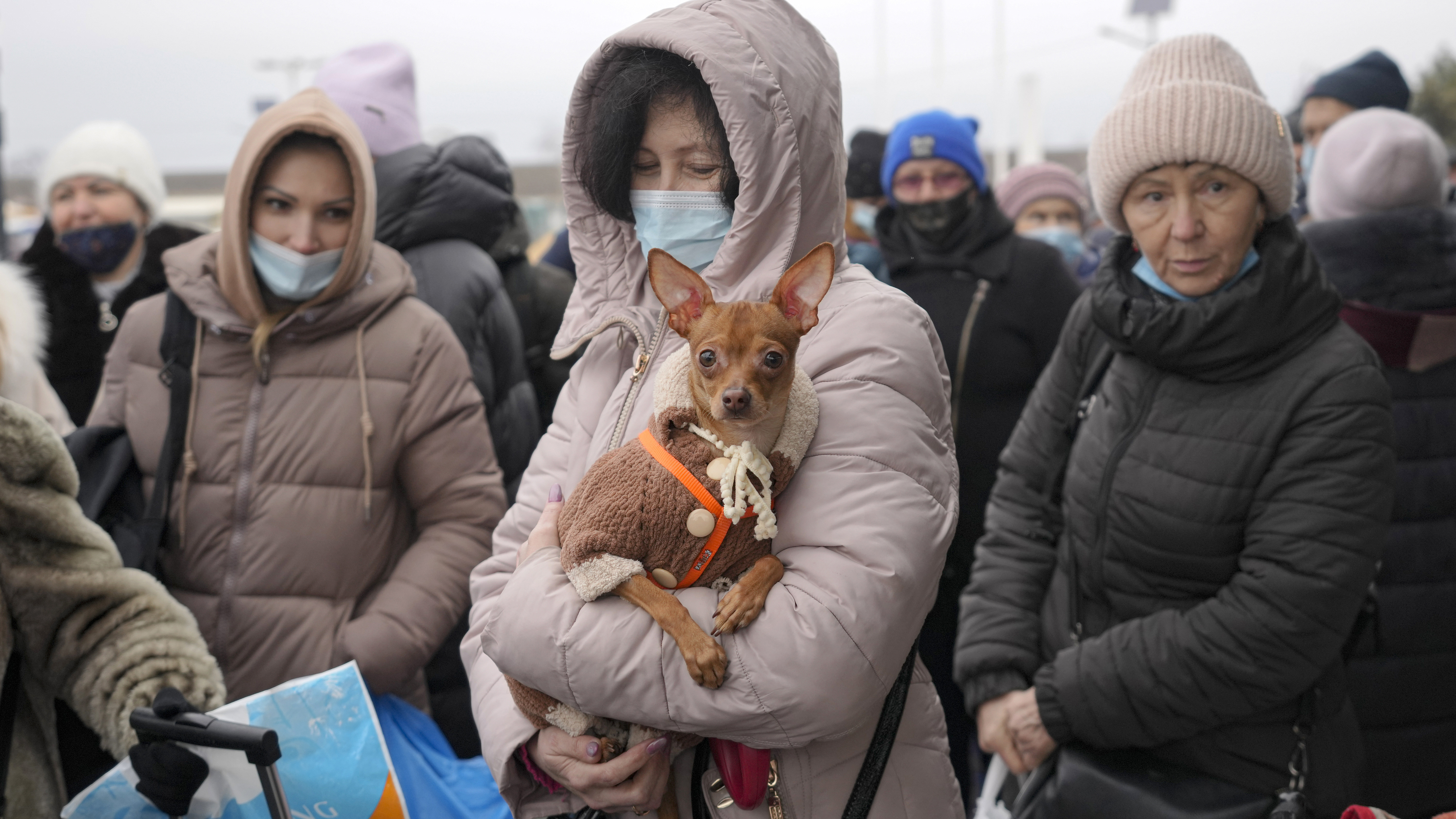 A woman holds her dog as she waits with others to cross from Ukrainian government controlled areas to pro-Russian separatists' controlled territory in Stanytsia Luhanska, the only crossing point open daily, in the Luhansk region, eastern Ukraine.