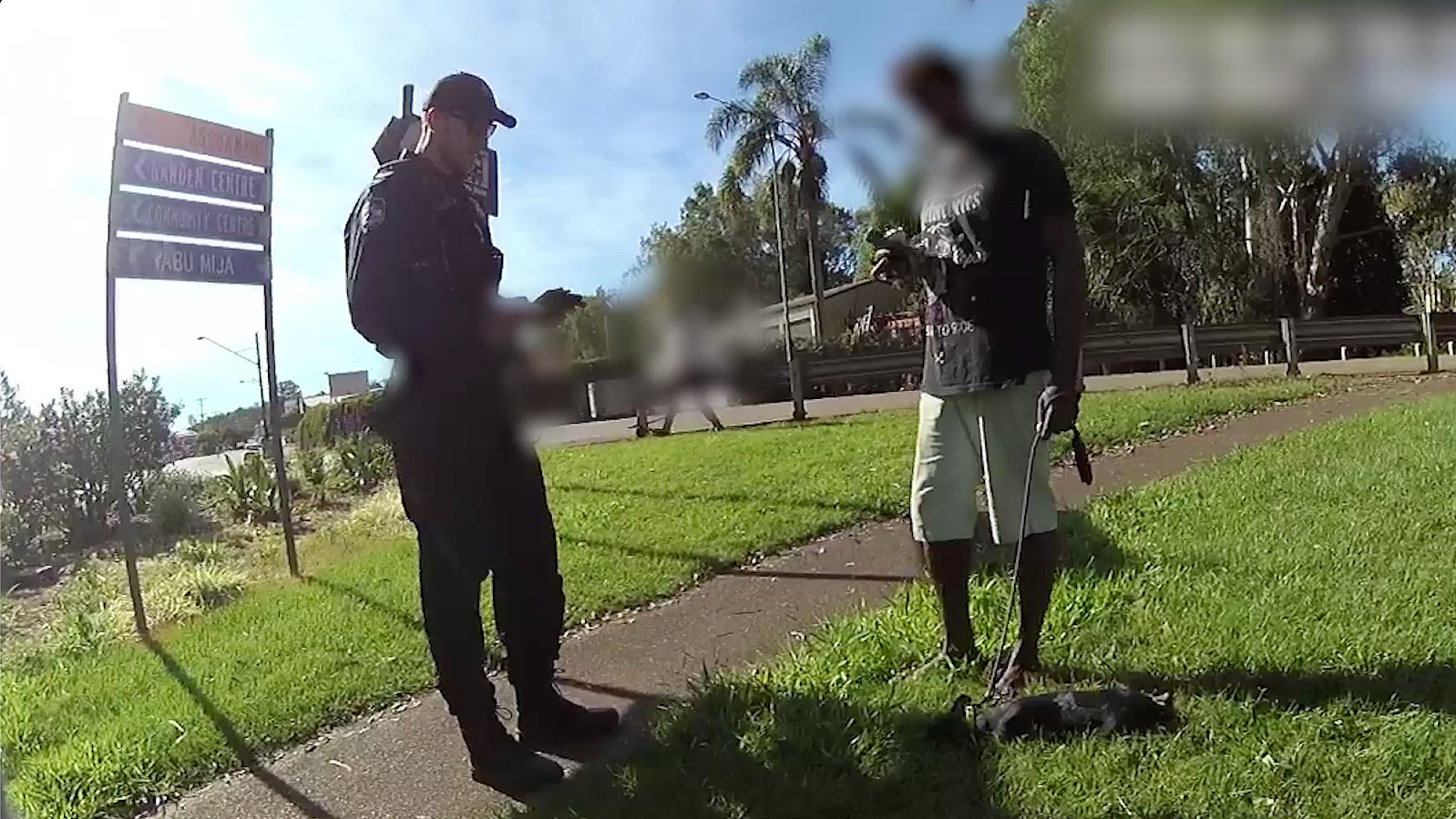 The owner, a 36-year-old Atherton man, was allegedly walking the puppy along a street in Ravenshoe earlier this month before the she broke free and ran off. 