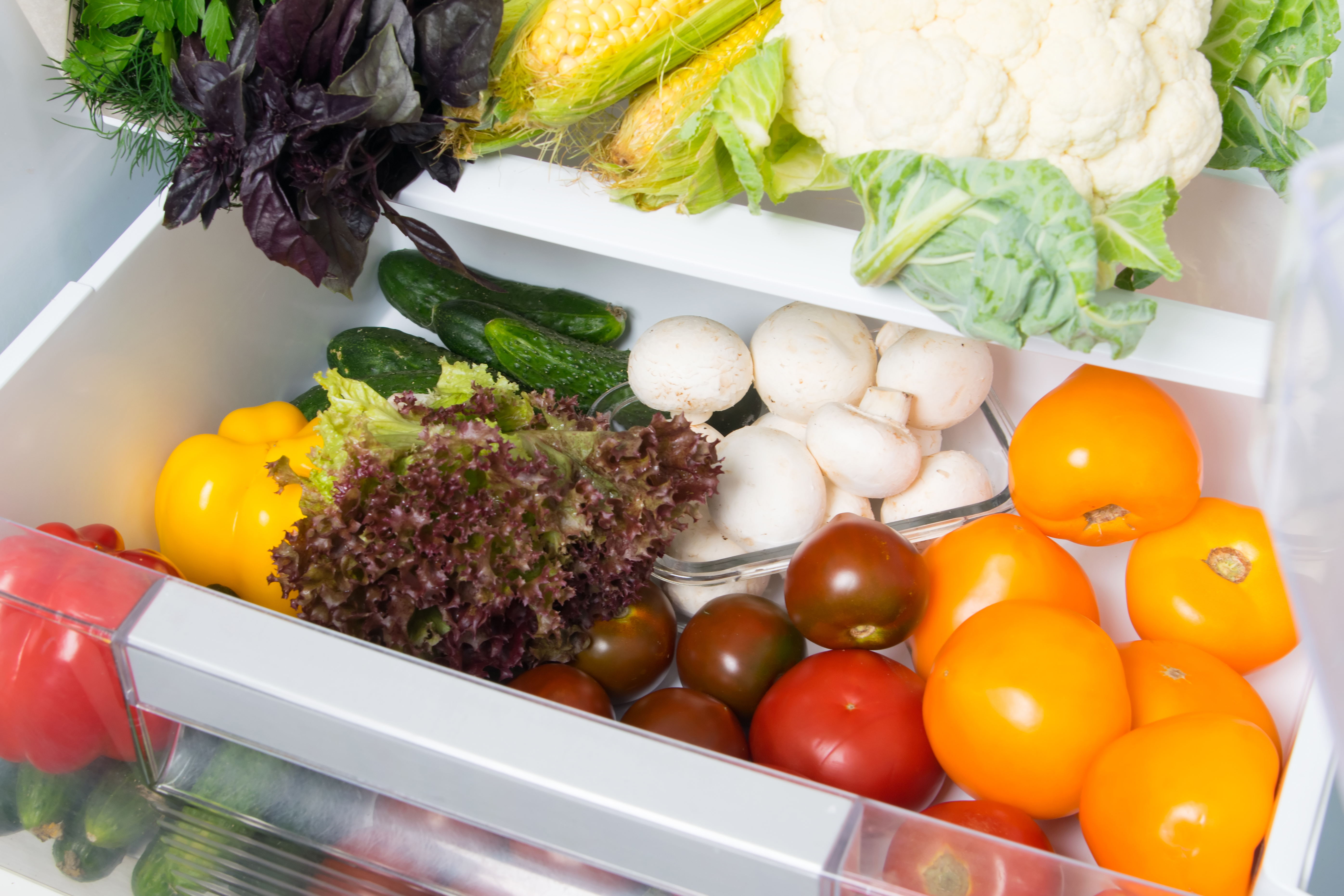 Fridge organisation