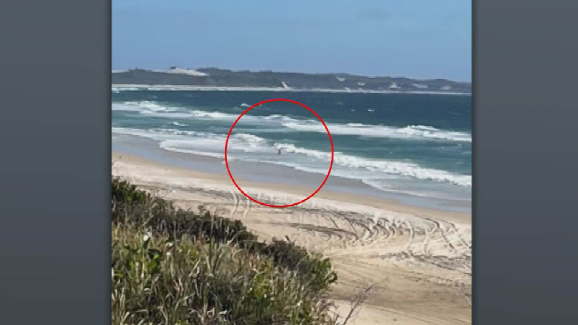 Shane and Sarah Moffatt saw Sarah Peet, 23, in a fight for her life after she was attacked by the pack of four dingos while out jogging on K'gari/Fraser Island.
