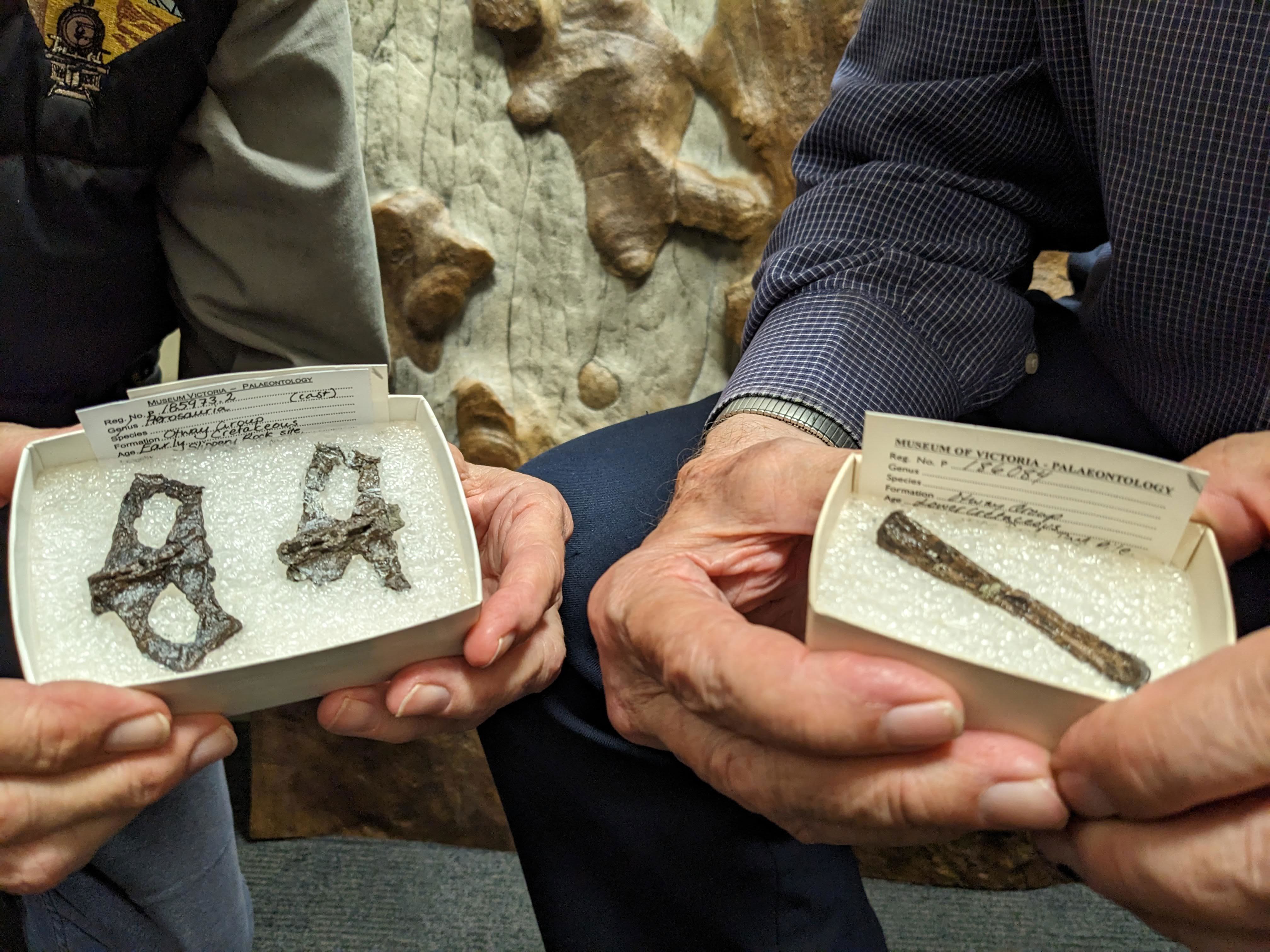 The bones, were discovered in the late 1980s, abd give an idea on how pterosaurs lived, bred and flew. 