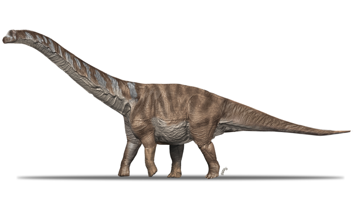 An artists recreation of Abditosaurus kuehnei.